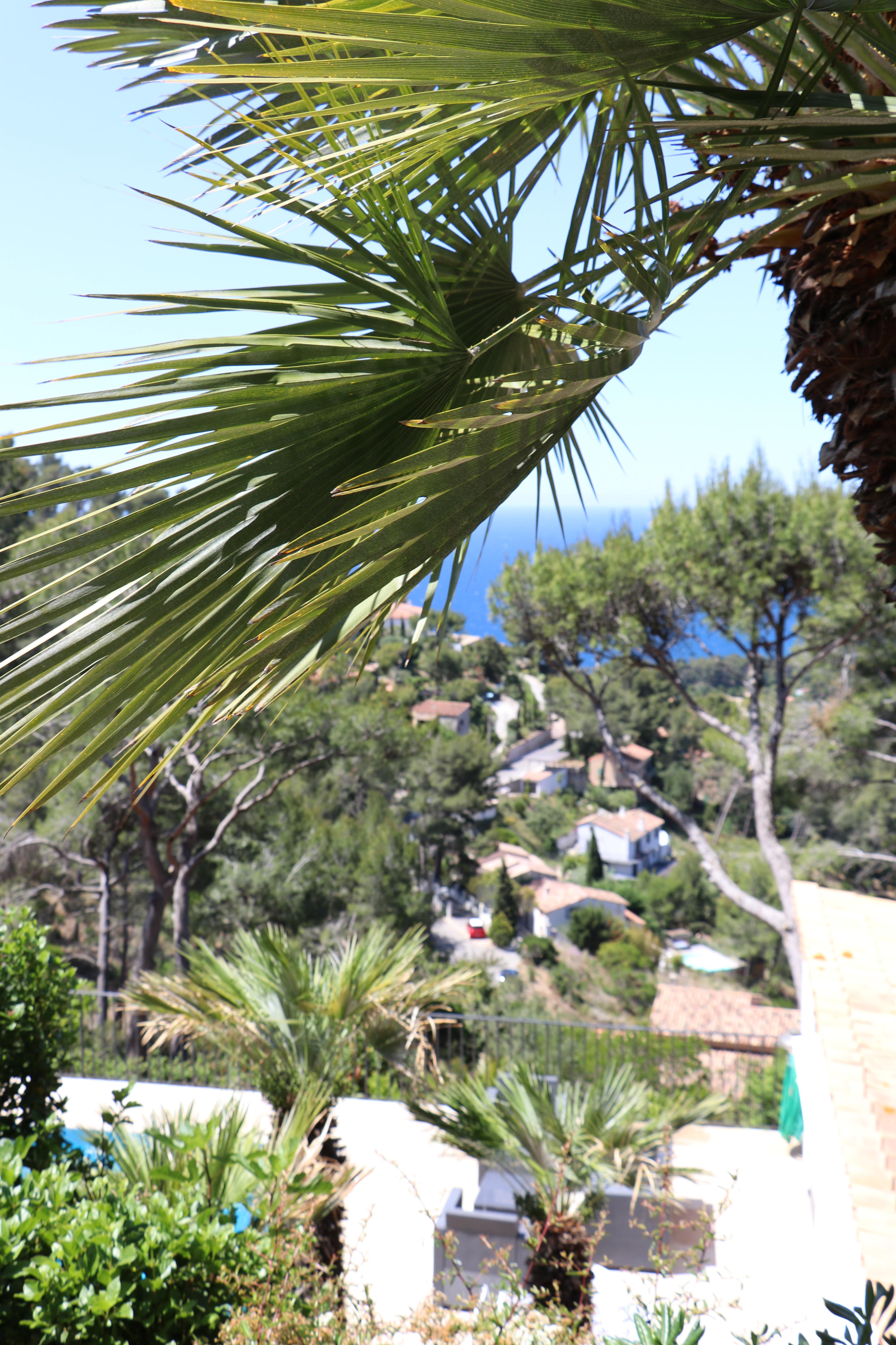 2020 - M. Delesalle Luc