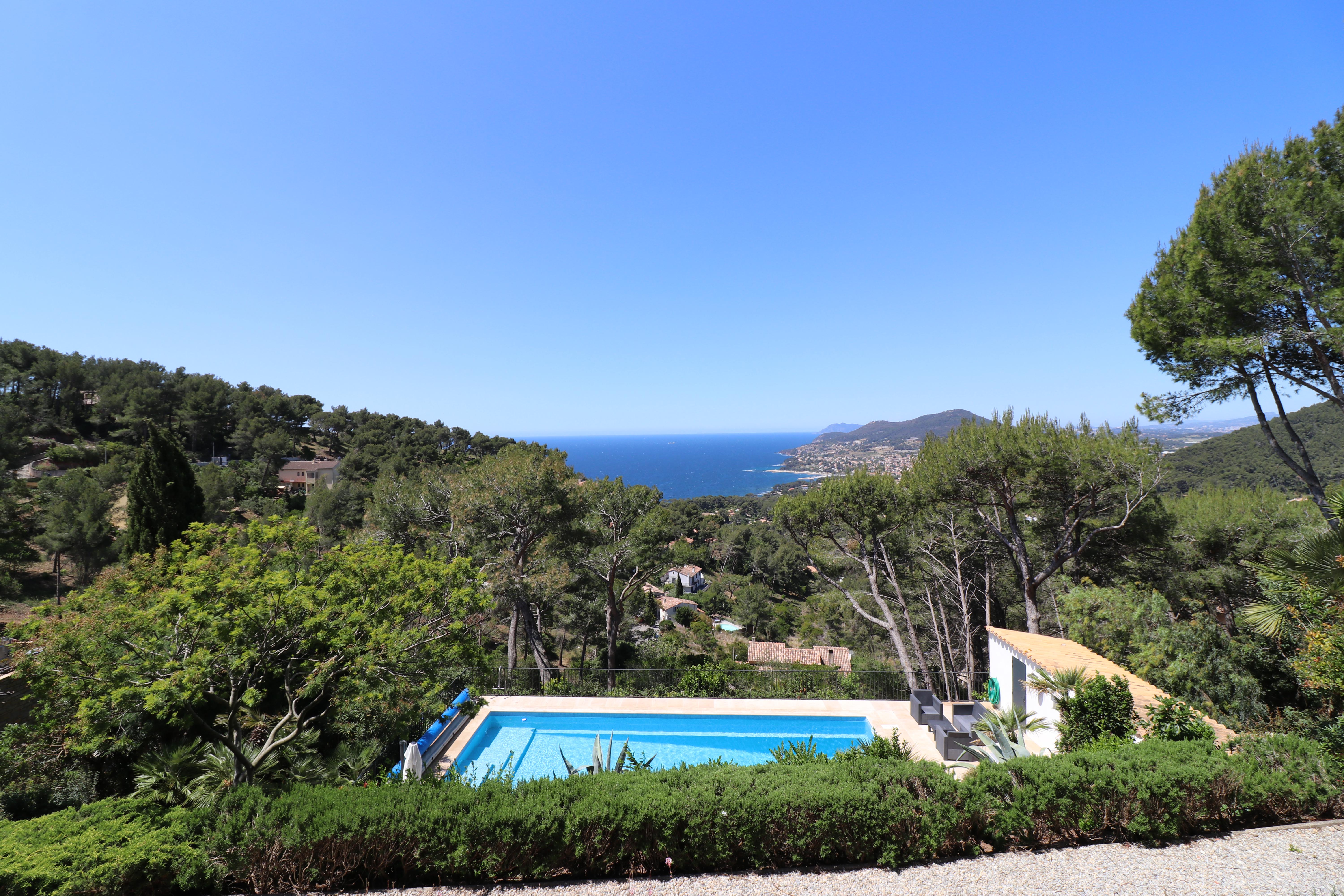 2020 - M. Delesalle Luc