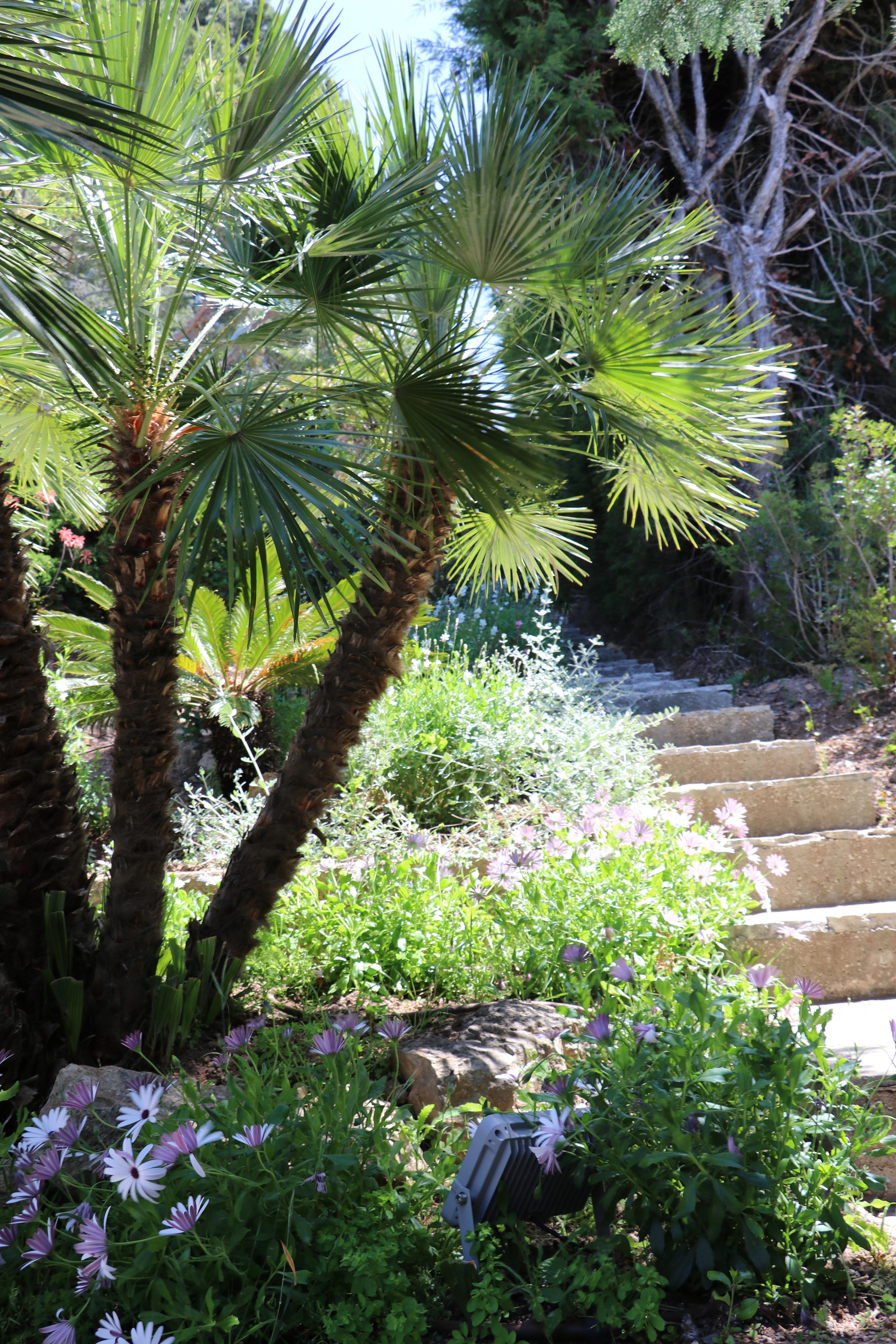 2020 - M. Delesalle Luc