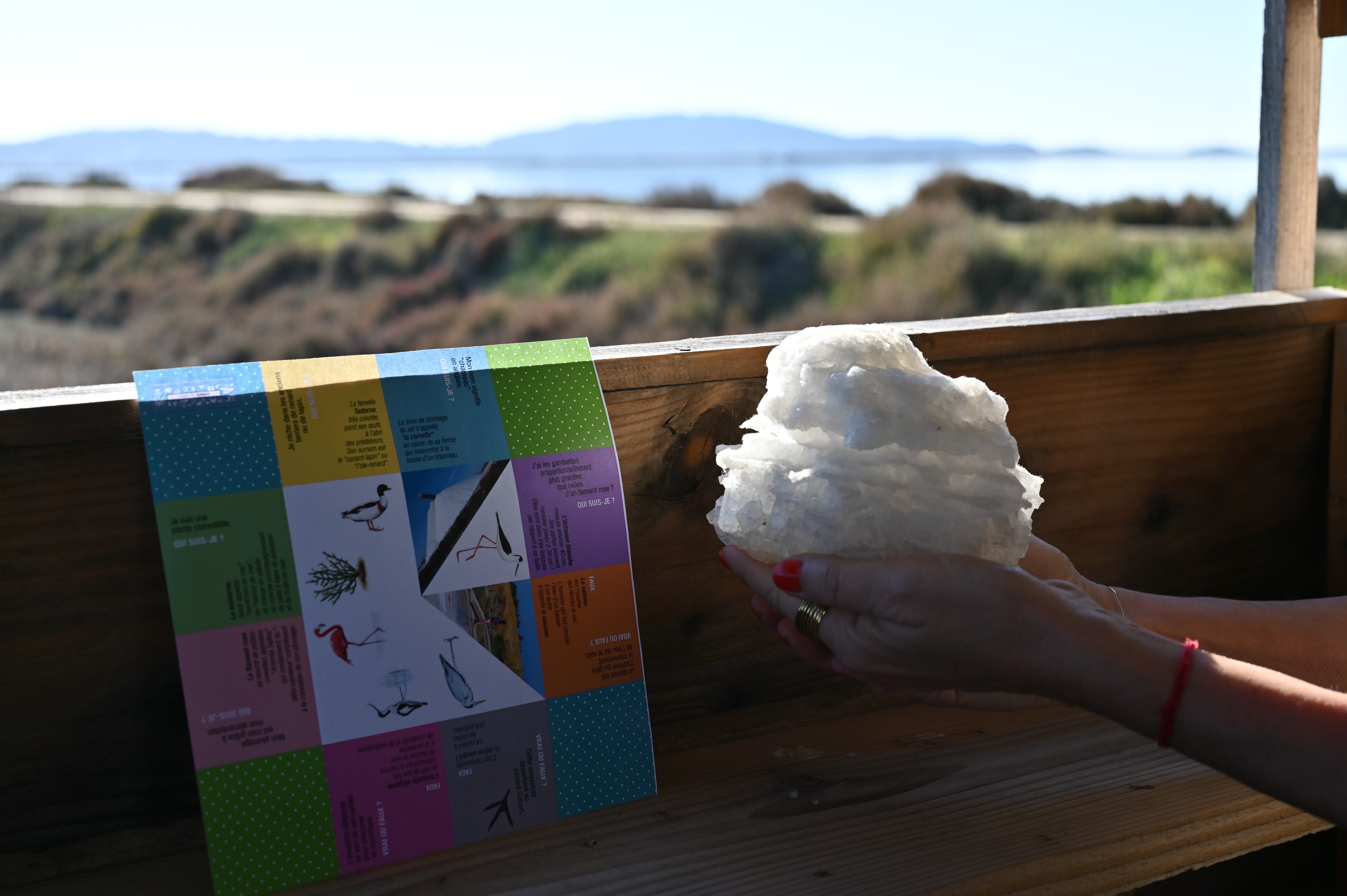 Visite guidée : Au pays du sel (spécial enfants) - Visite guidée : Au pays du sel (spécial enfants)