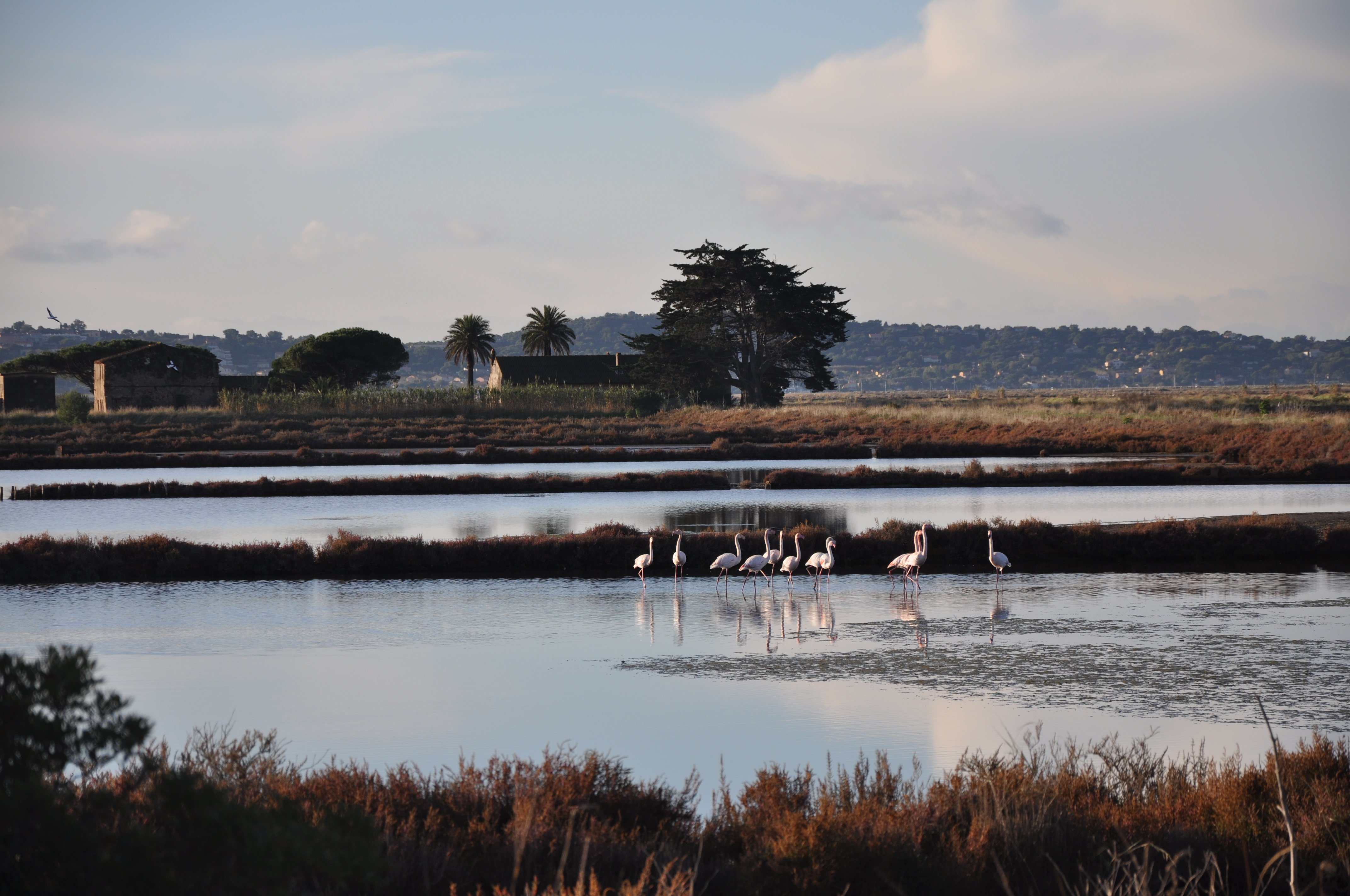 salin hyeres patrimoine pesquiers sel - Visite guidée : Histoire du sel