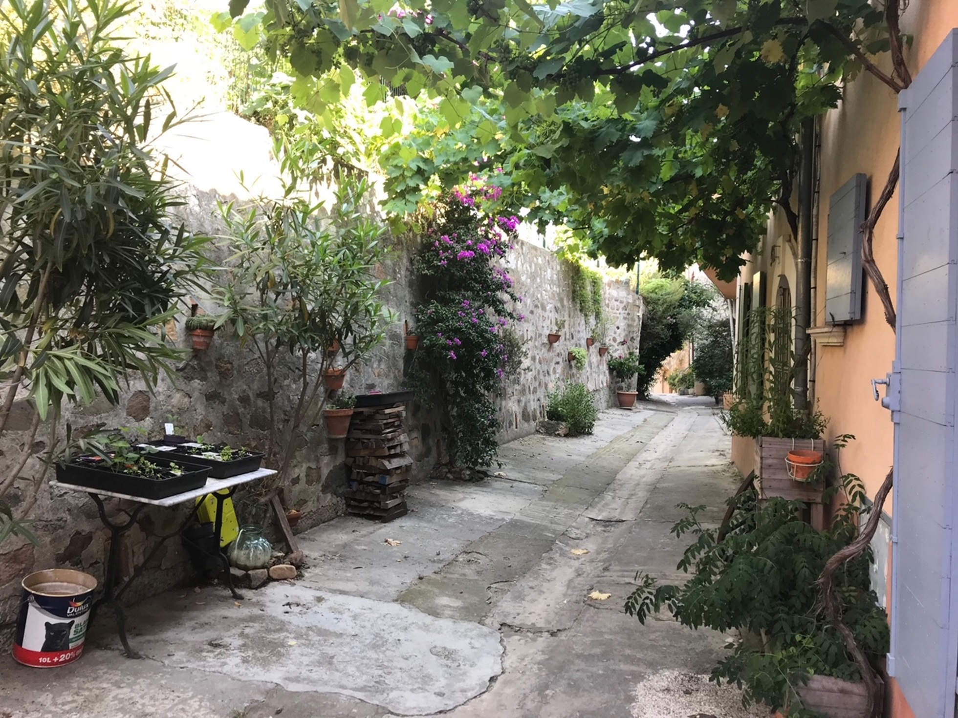 Visites Guidée " Le patrimoine historique de la Vielle Ville" - Hyères Tourisme