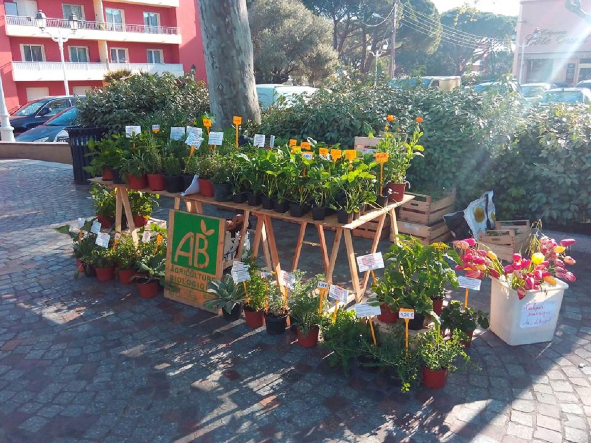 Marché producteurs locaux - Marché producteurs locaux