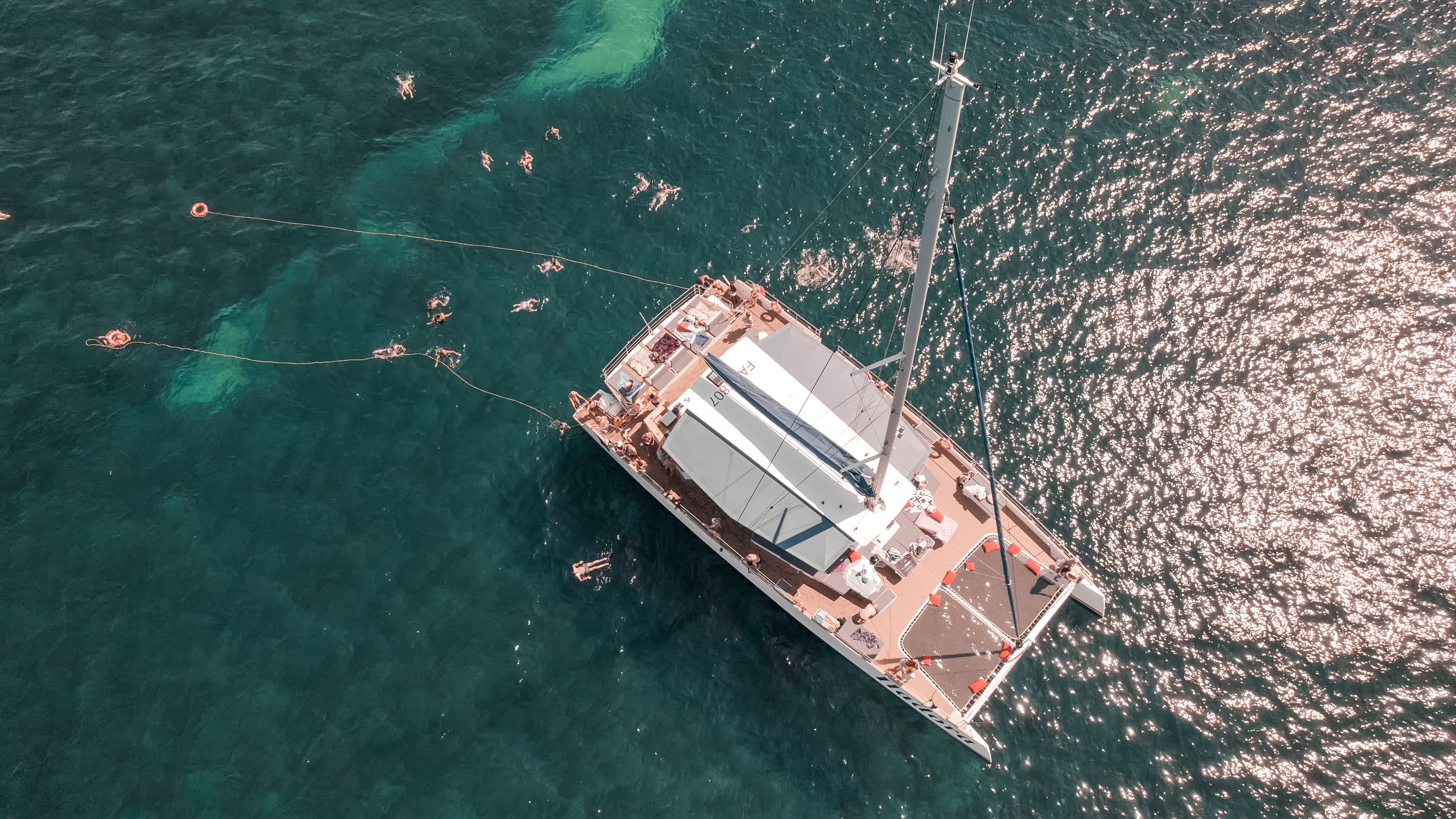 AMC maxicatamaran - AMC Cape Grace