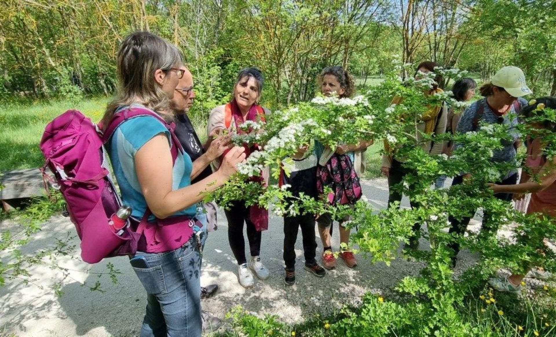 Sortie Botanistes en herbe - Frédéric Segoura