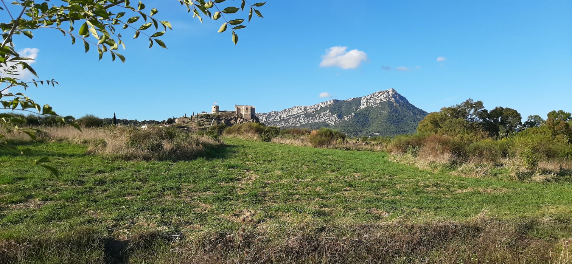 Sortie Botanistes en herbe - Frédéric Segoura