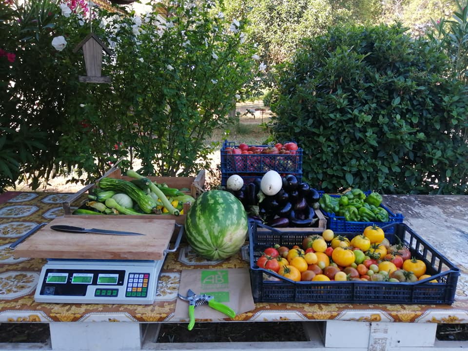 Le potager des Fils du Vent - DR / Le potager des Fils du Vent