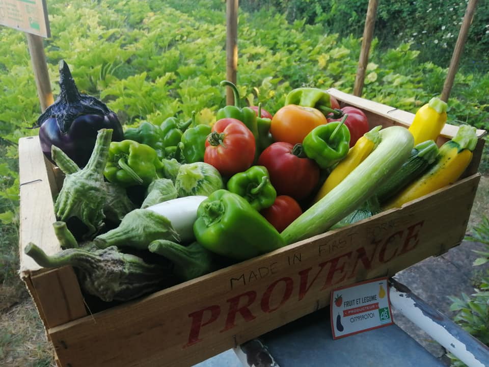 Le potager des Fils du Vent - DR / Le potager des Fils du Vent