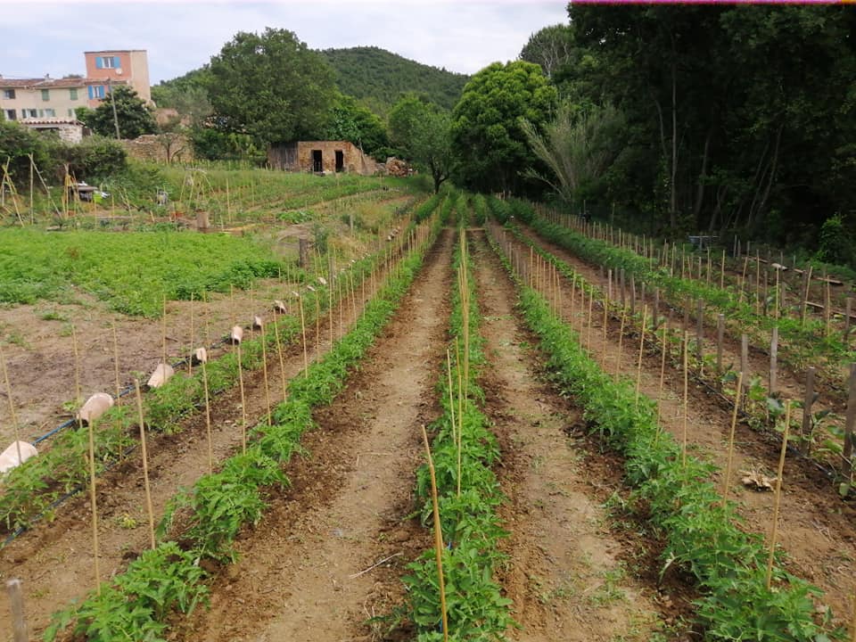 Le potager des Fils du Vent - DR / Le potager des Fils du Vent