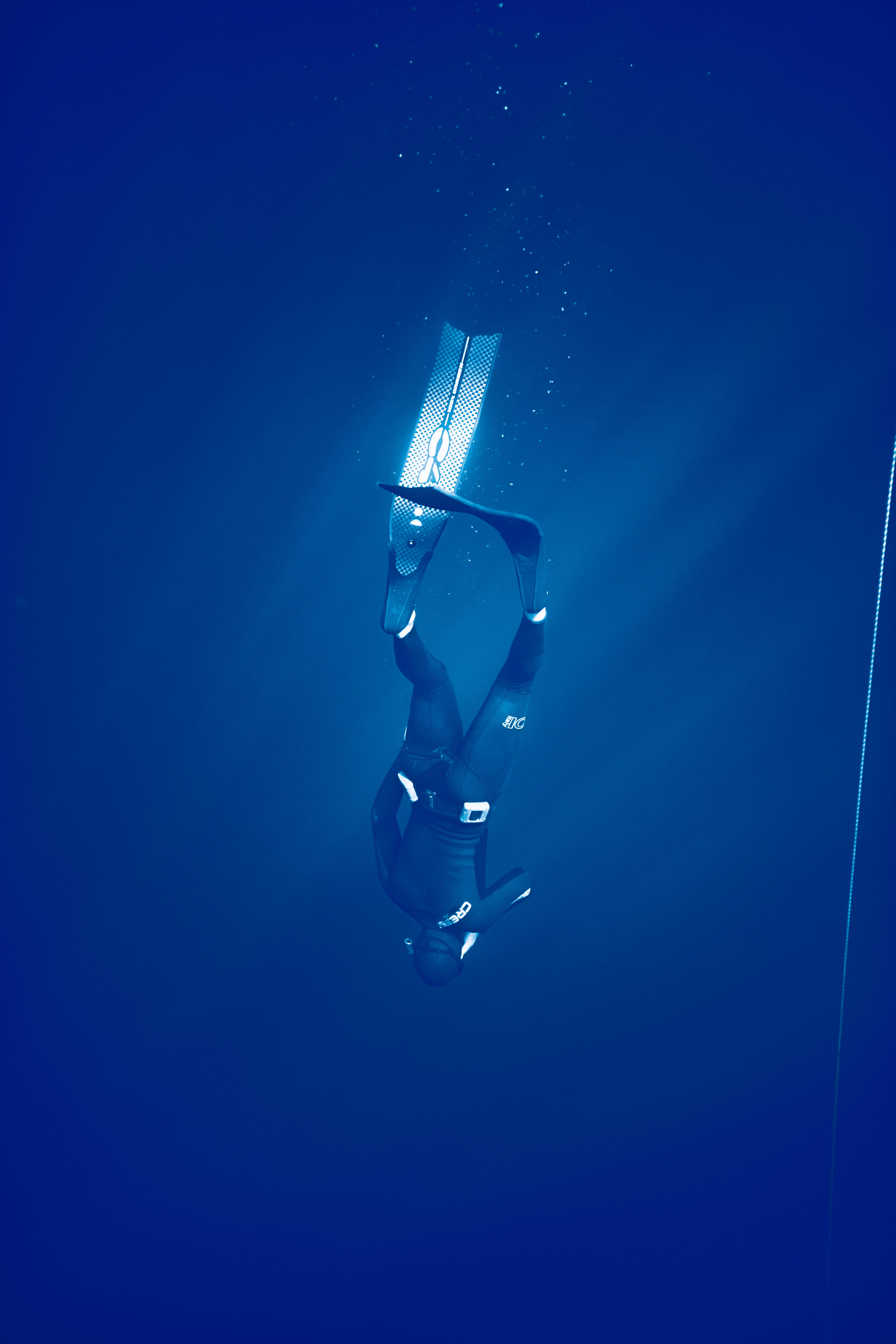 Descente à la palme - Apneazur