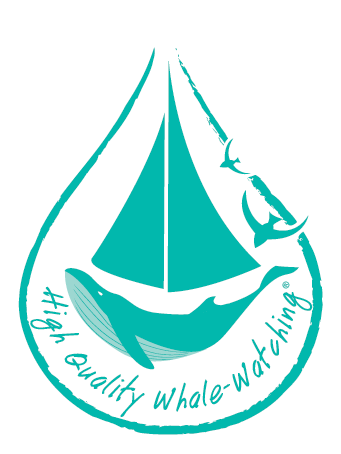 Sea Adventure - ACCOBAMS