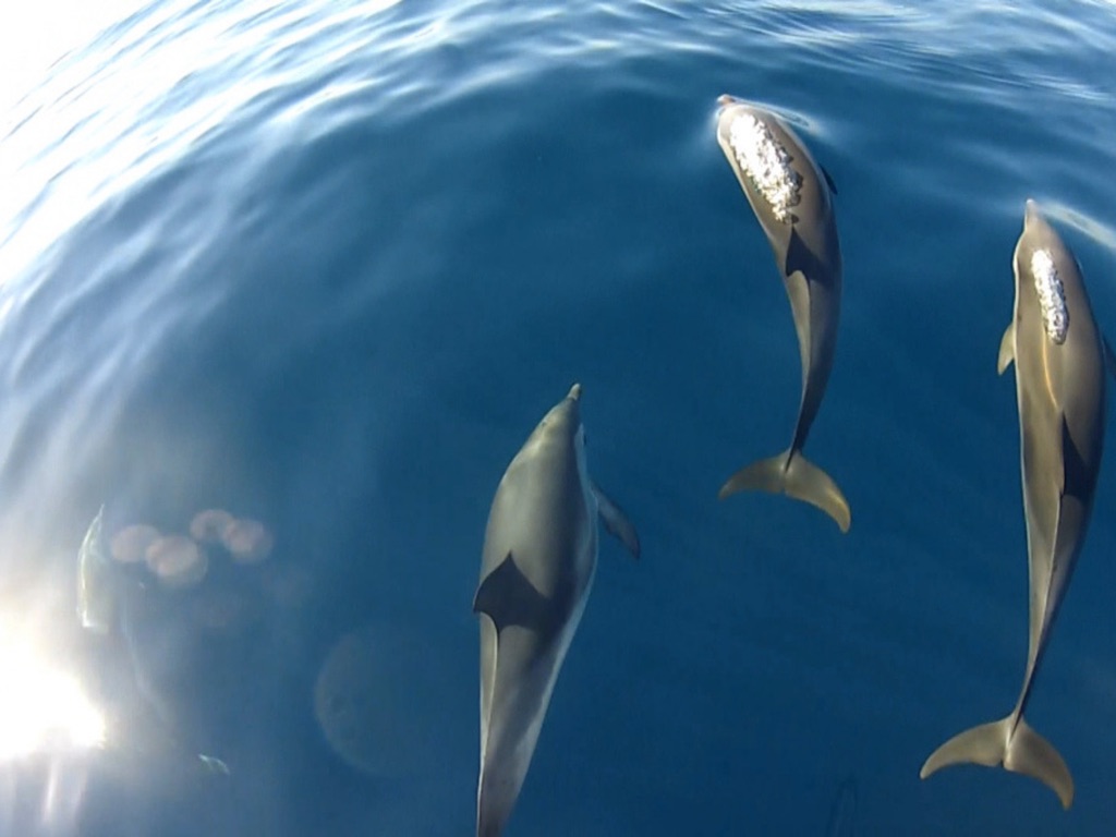 My Sail Croisière Méditerranée - My Sail
