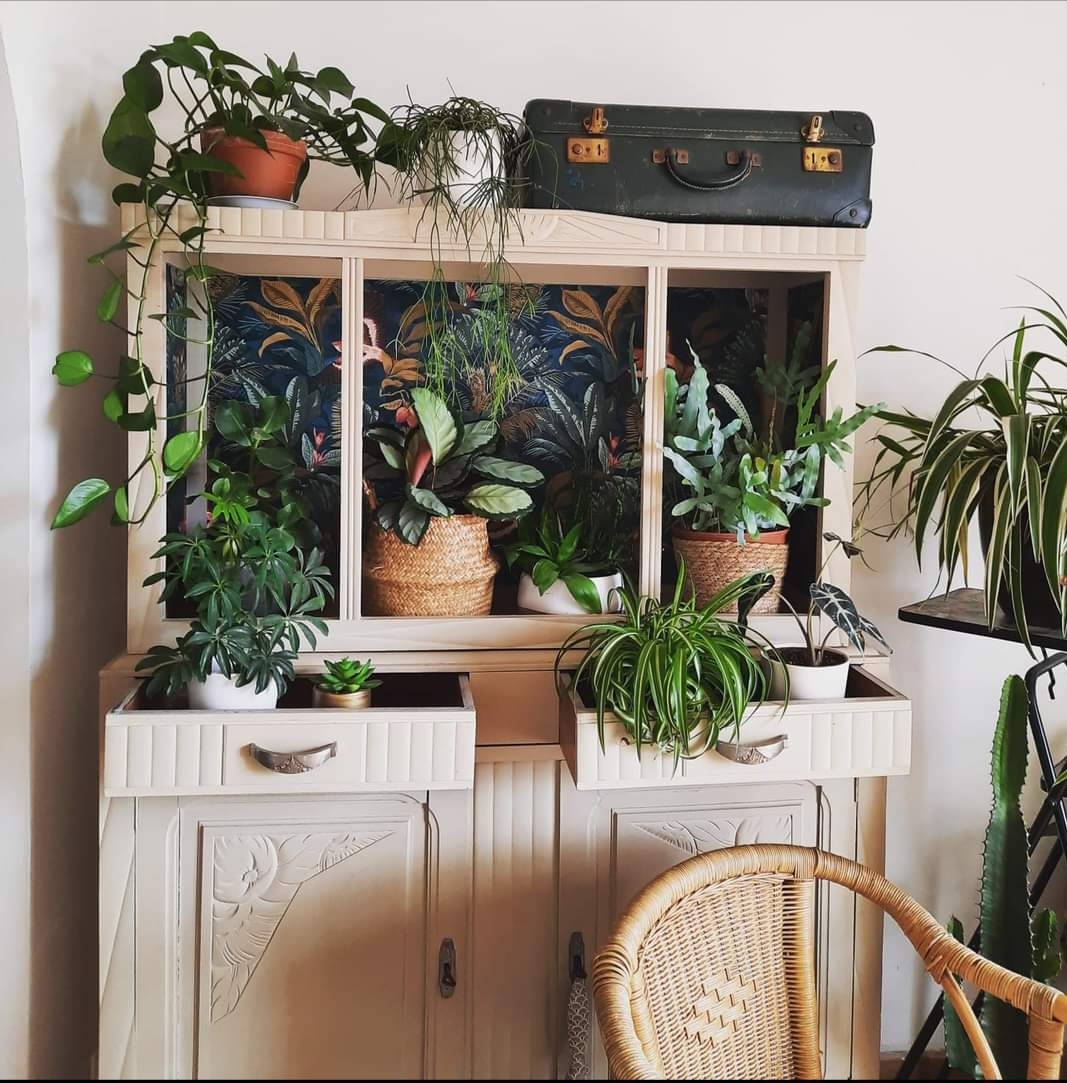 Buffet nursery à plantes - Corinne cosentino