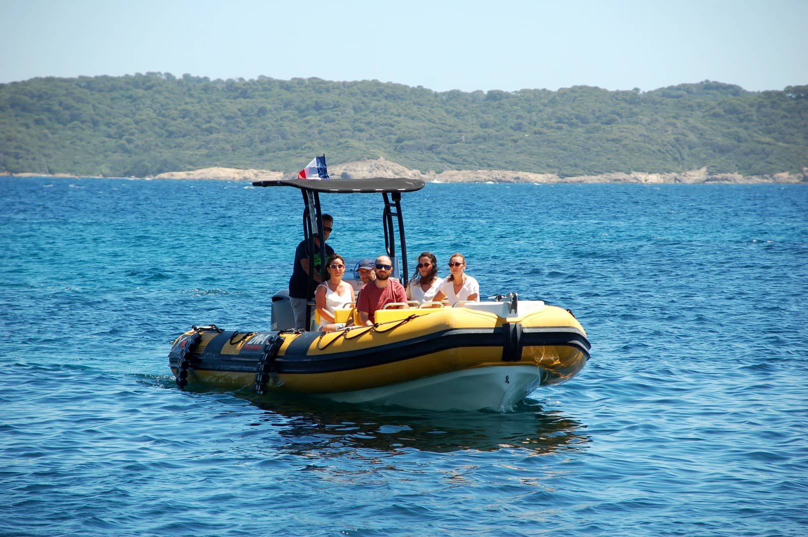 Île d'Or Evasion - Observation des mammifères marins