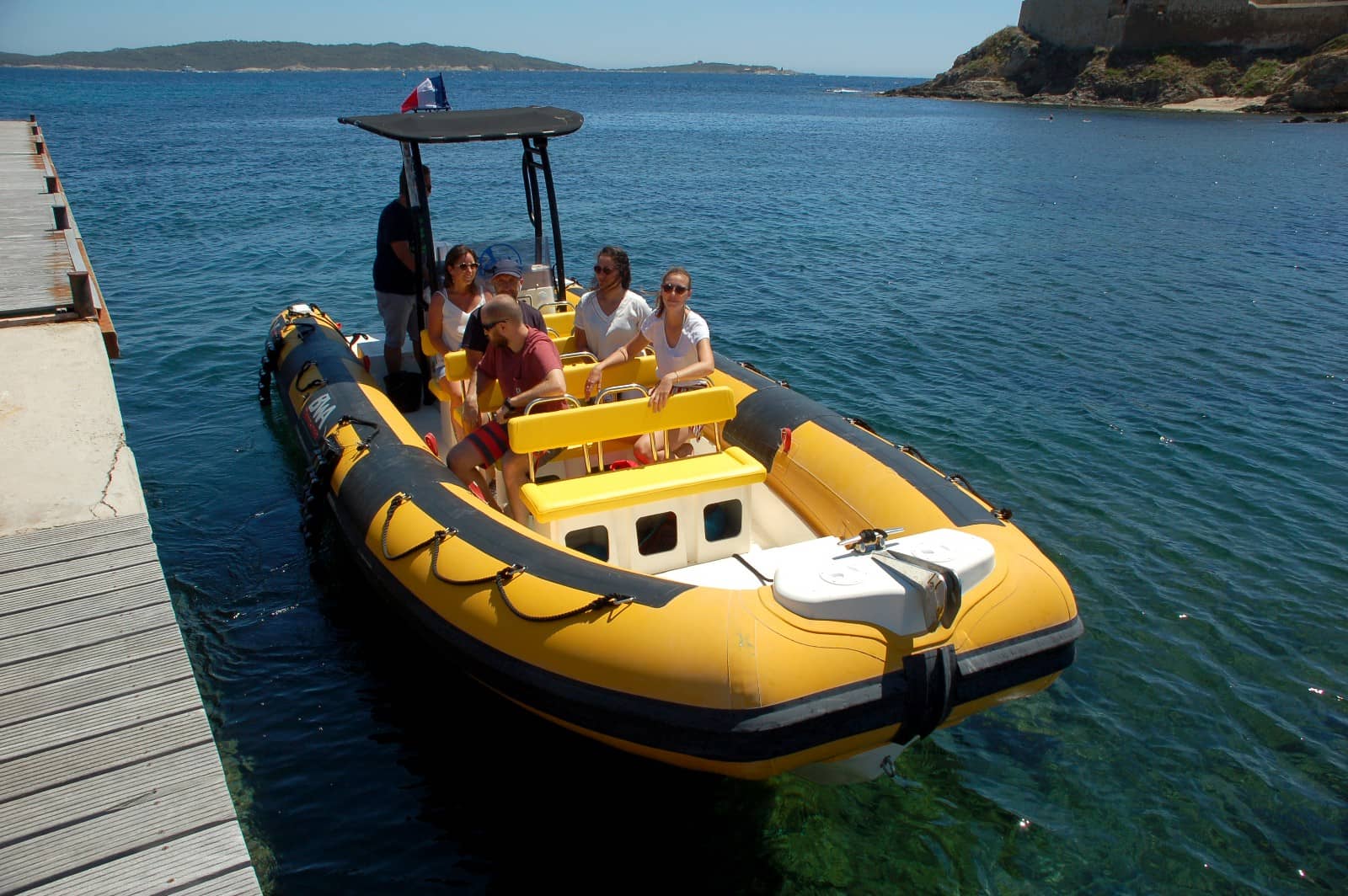 Île d'Or Evasion - Observation des mammifères marins