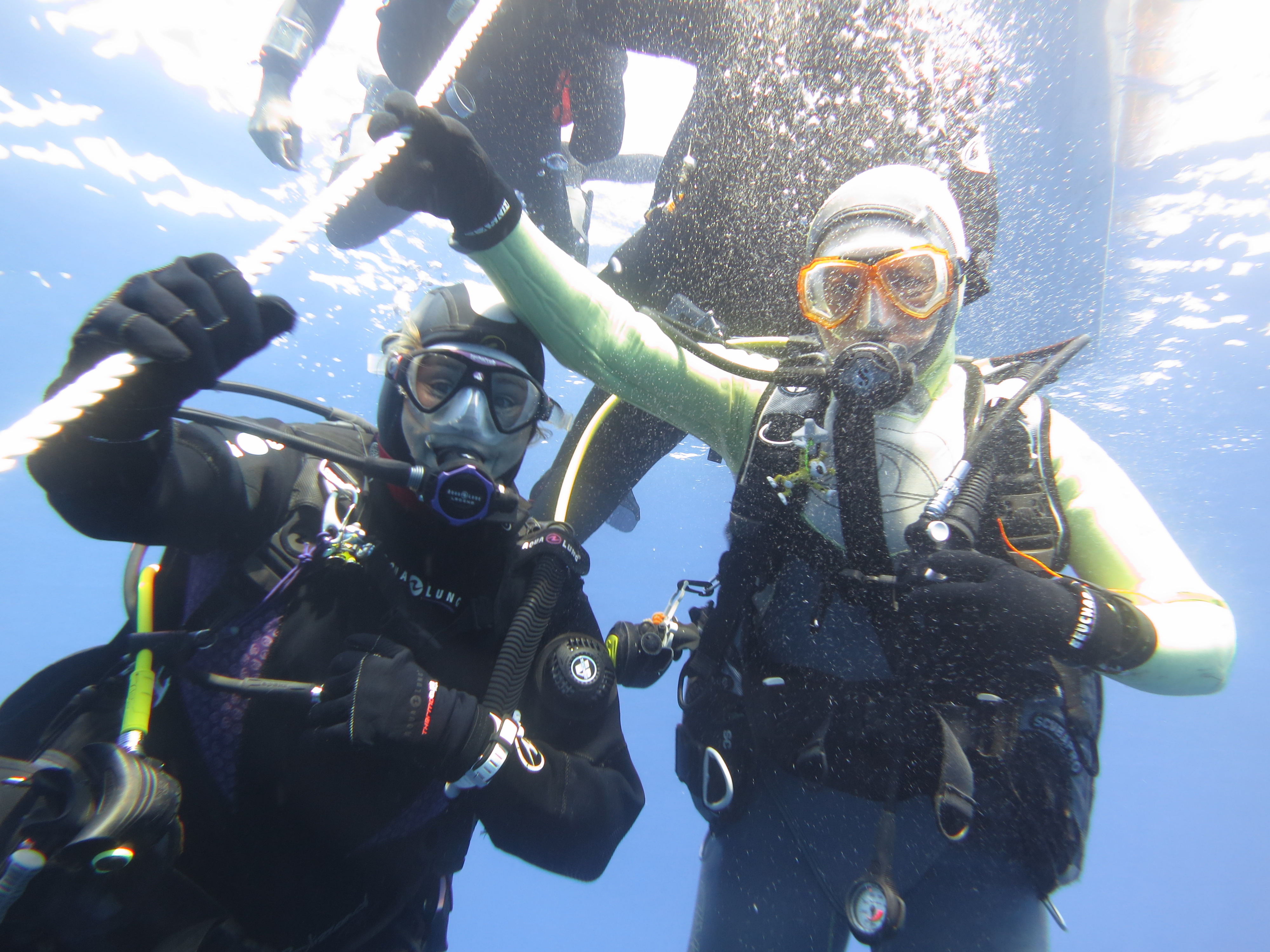 Baptême de plongée départ de Toulon - Toulon Plongée