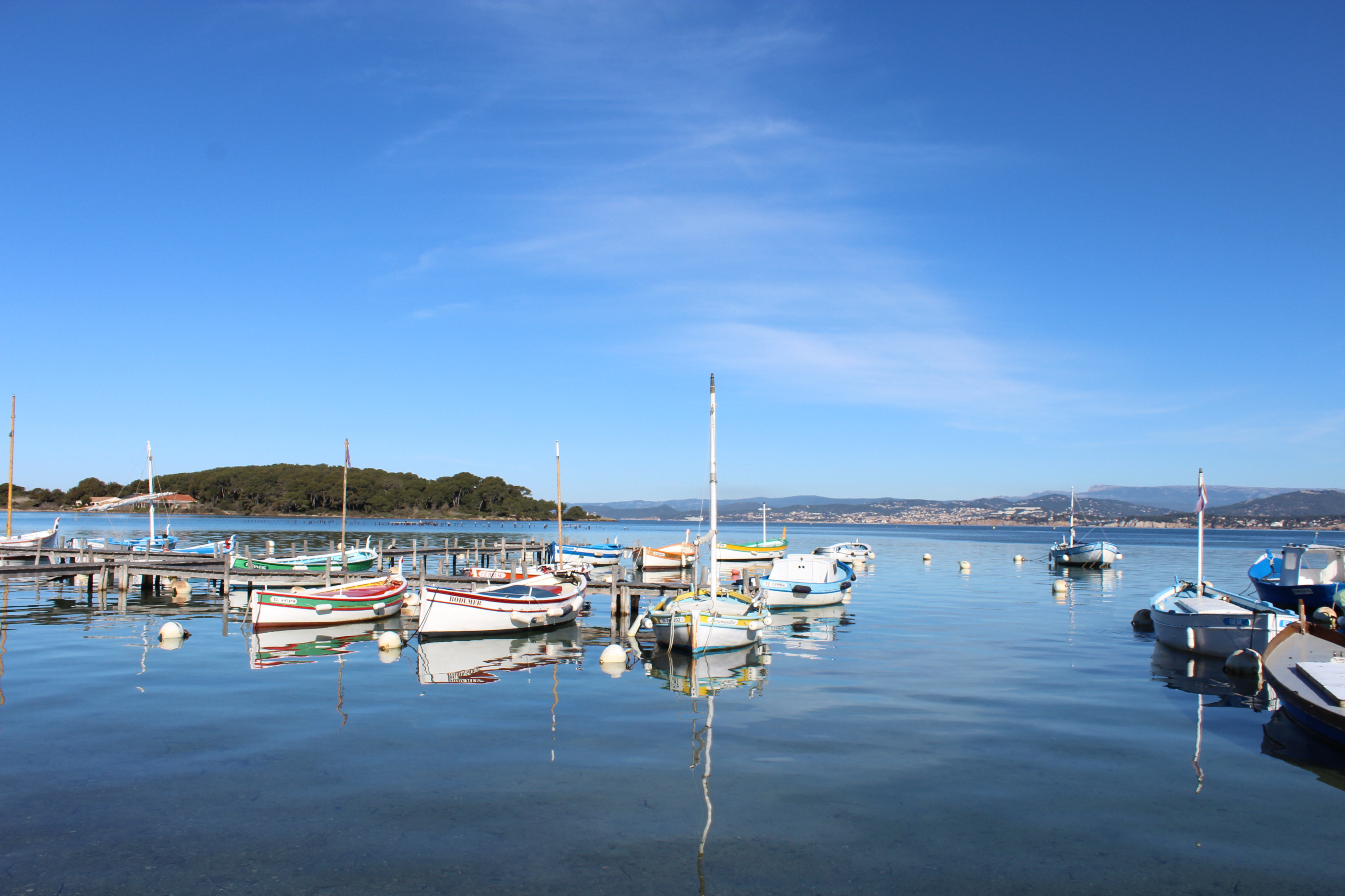 le brusc - istock