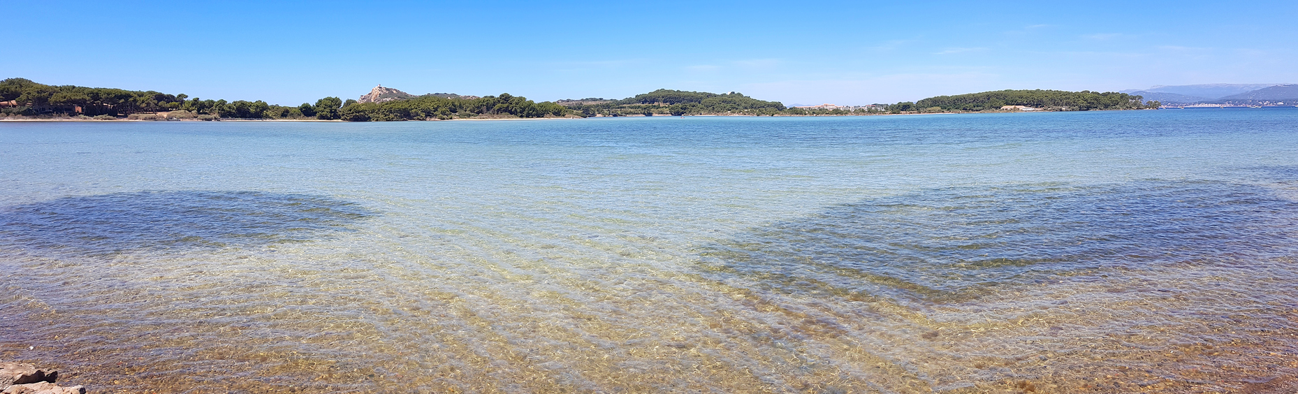 lagune - istock