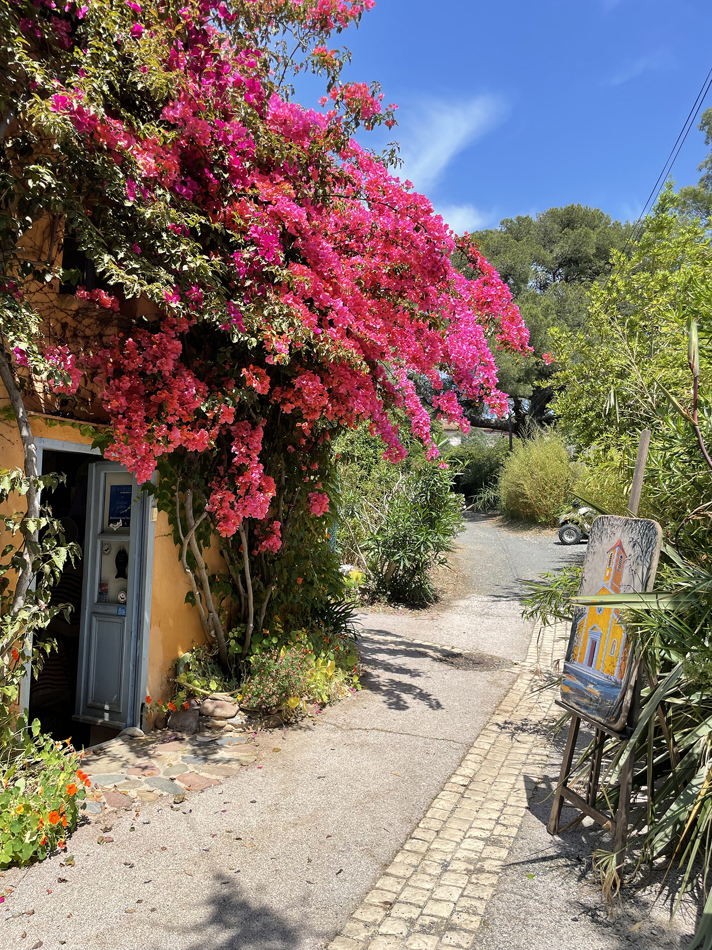 Rue Joseph Pellegrino - Sabine Chautard