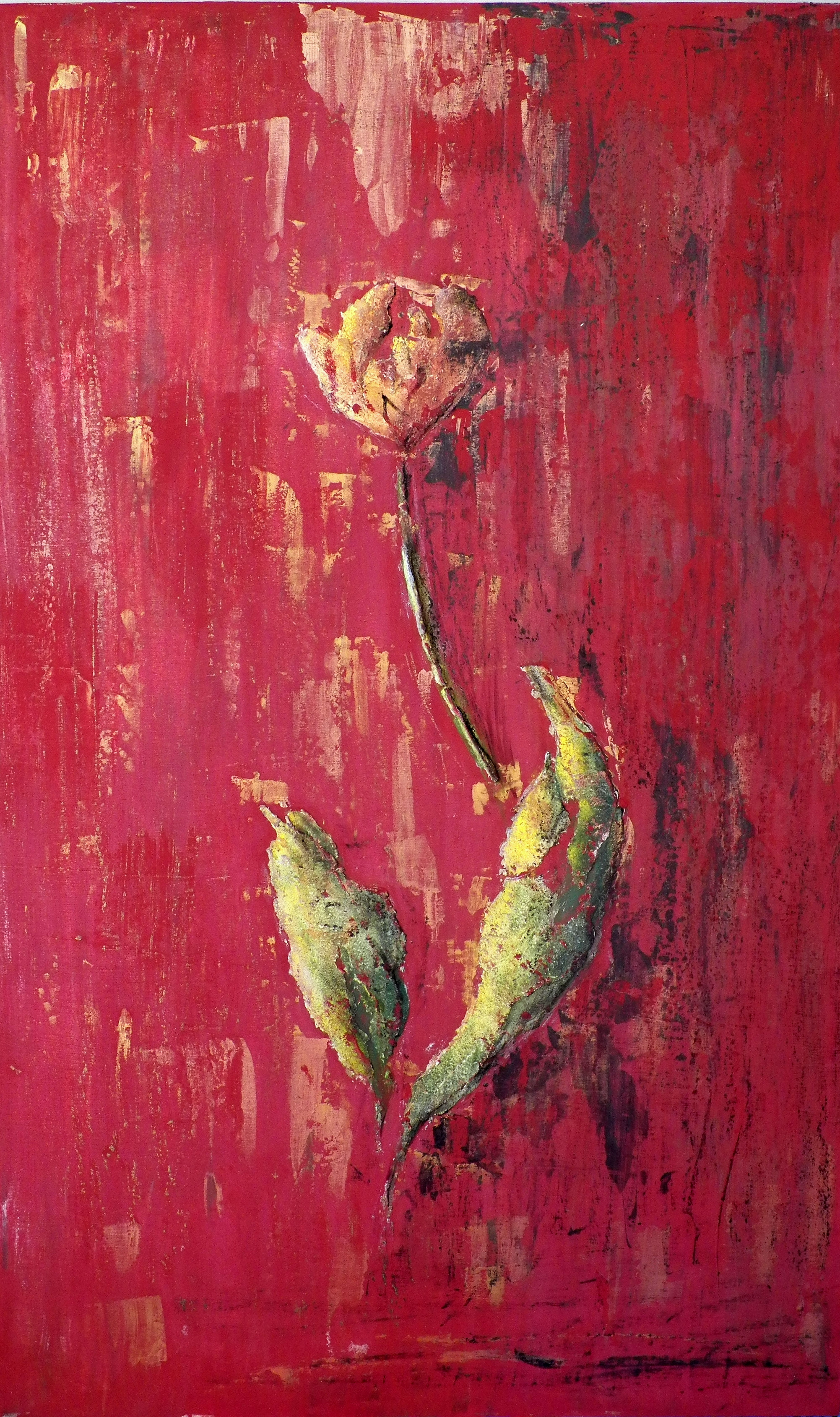 Tulipe - Anne Fioux (dite Fibéa)