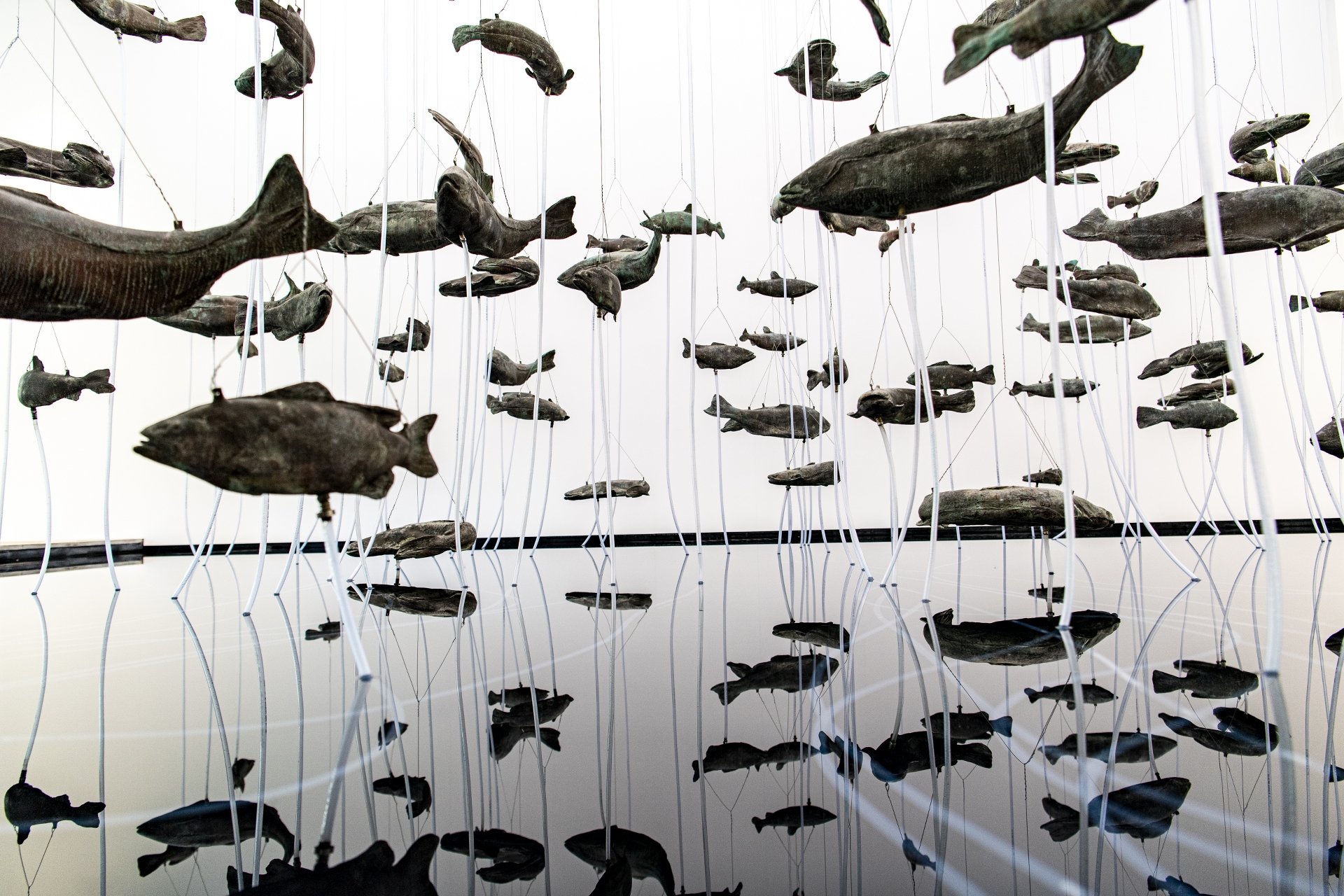Bruce Nauman, One Hundred Fish Fountain, 2005 Bronze, acier et metal 76,2 X 85,3 X 0,2 m - © Bruce Nauman - Adagp, Paris, 2024 - Photo : Thibaut Chapotot