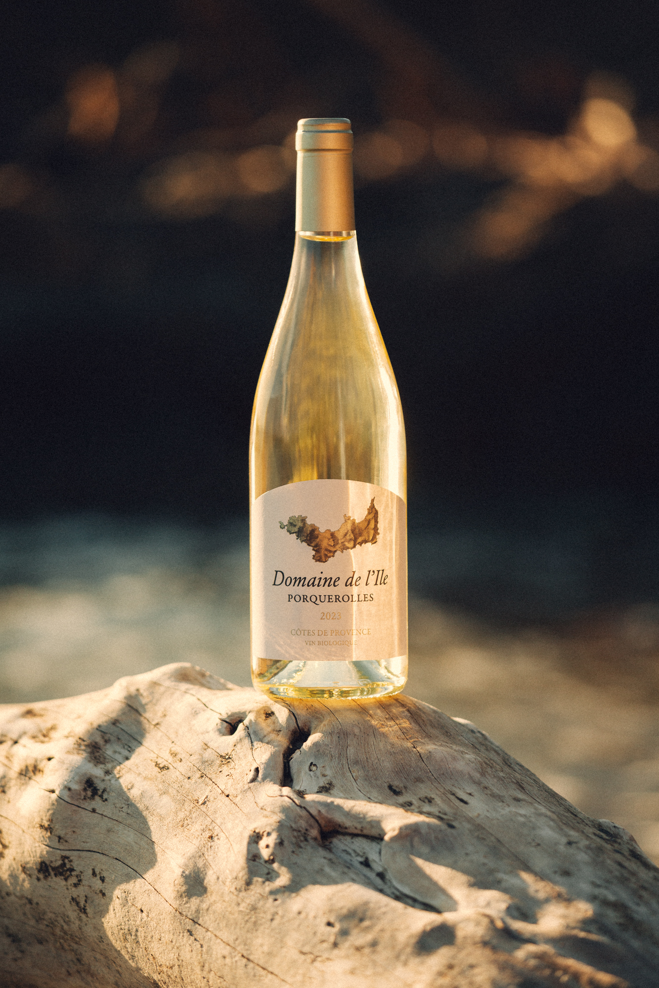 Vin blanc du Domaine de l'île - Erea AZURMENDI