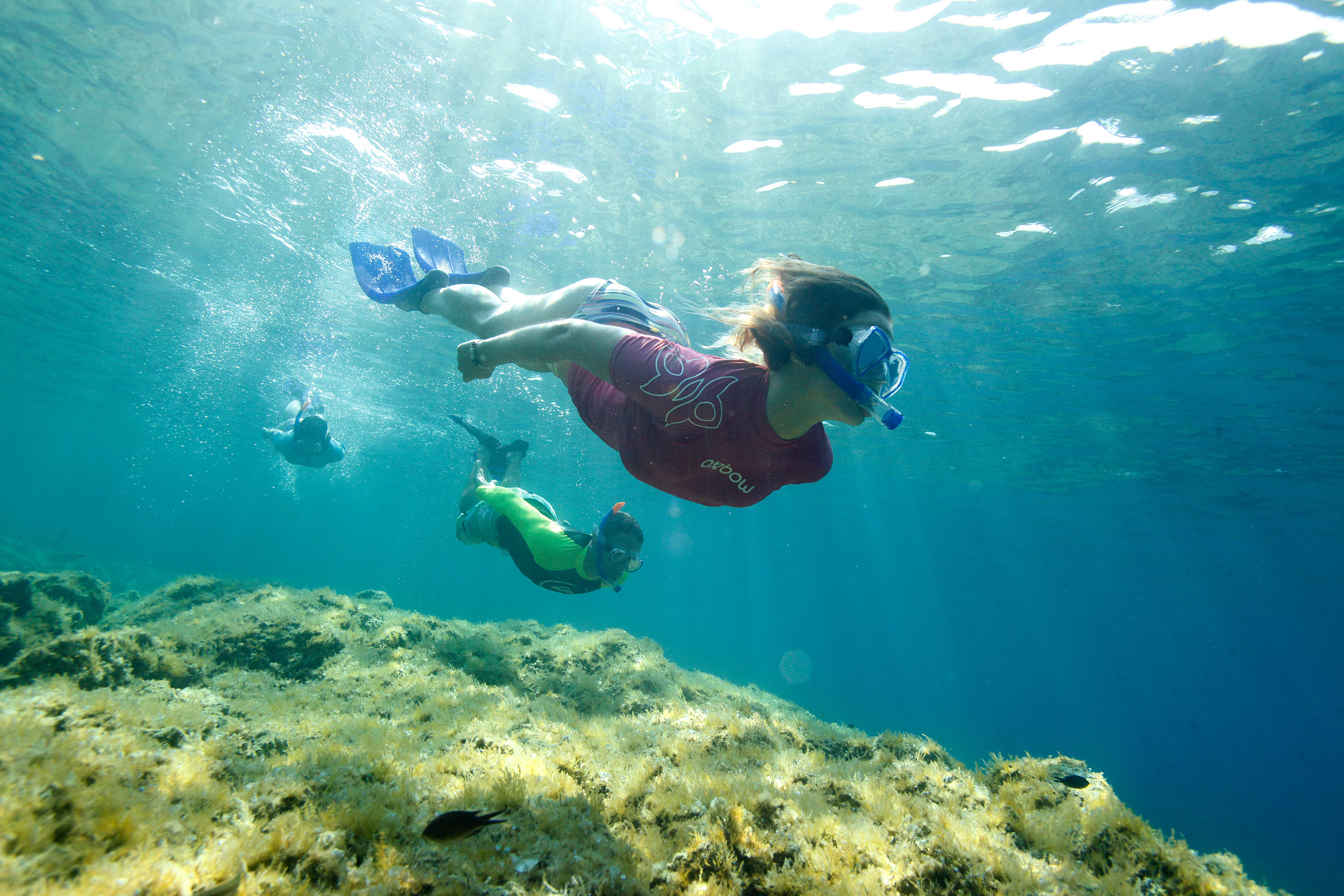 Snorkeling - Rand'eau palmée au départ d'un bateau