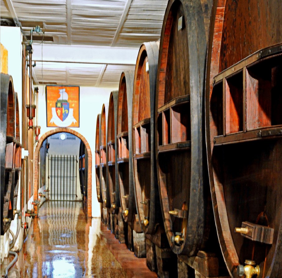 FOUDRES CENTENAIRES - CLOS CIBONNE