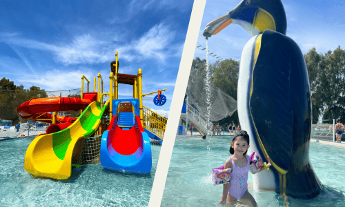 Aqua Family + Kiddy Parc - Aqua Family + Kiddy Parc