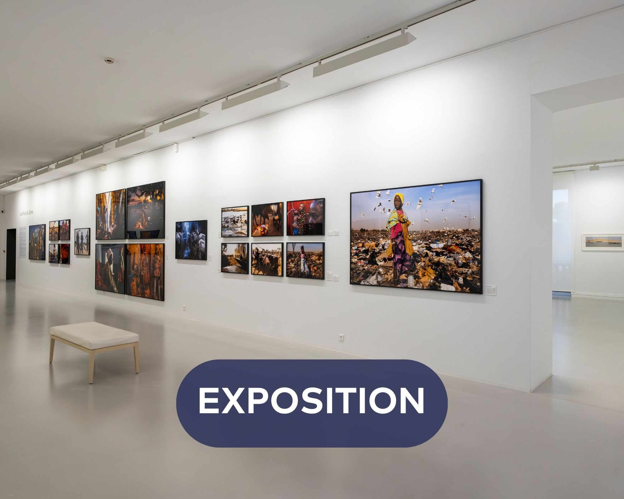 Exposition " Au delà de la surface... une autre réalité" de Martine Naudi_Six-Fours-les-Plages - DR / OTPM