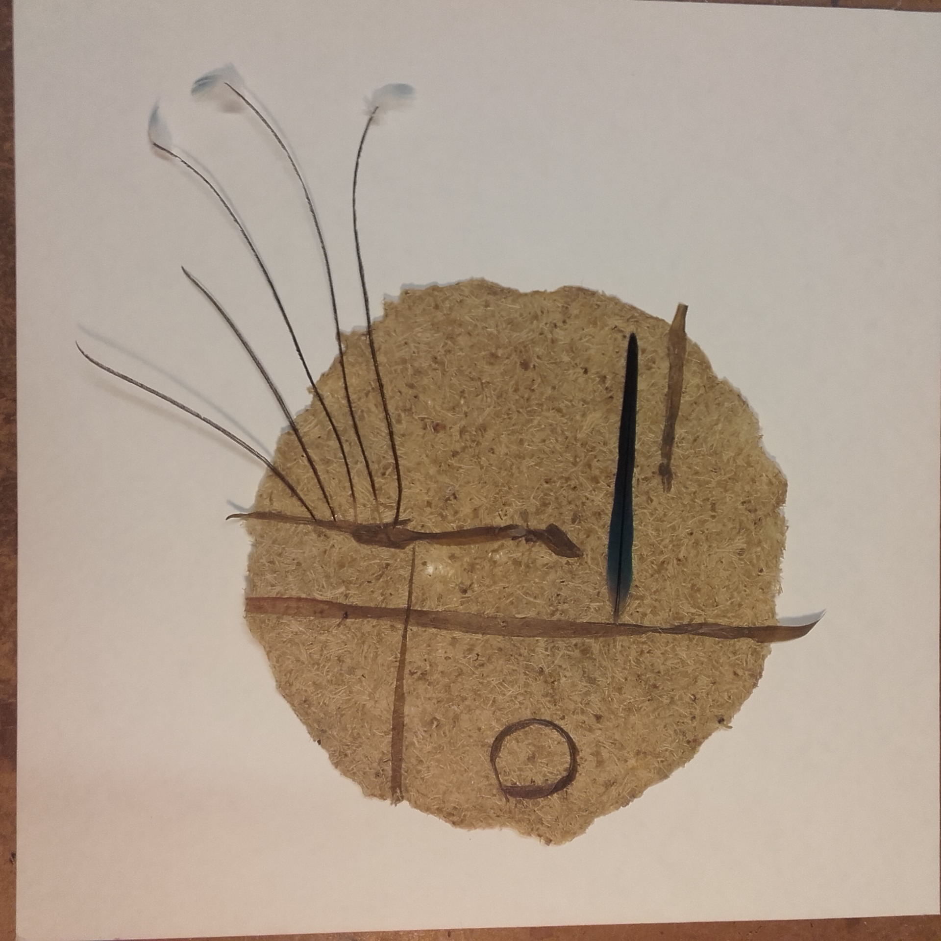 lune, papier fibre de chou fleur - Beatriz Gonzalez Haw