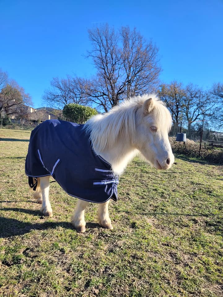 Notre ponette Crystal - domaine du Tian