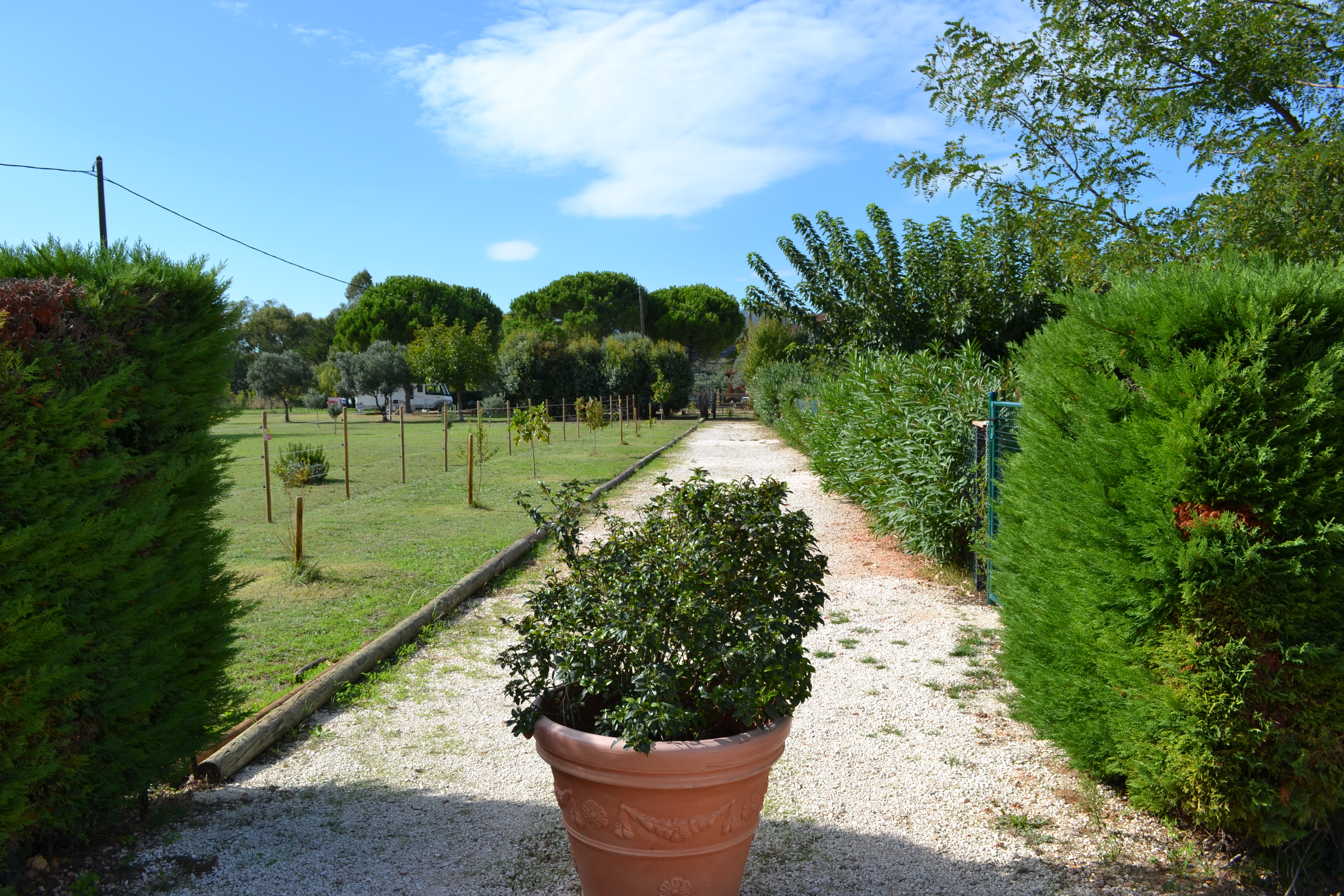 allée périphérique accès chalets - Domaine du Tian