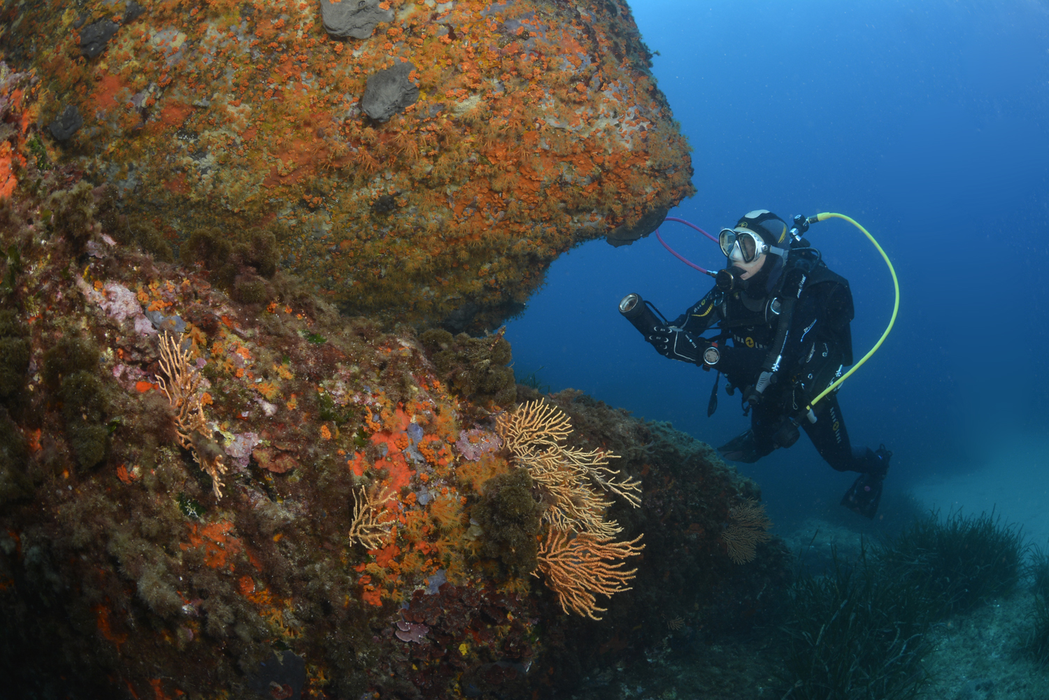 Centre de plongée Cap Plongée Six Fours - Géraldine Pahaut