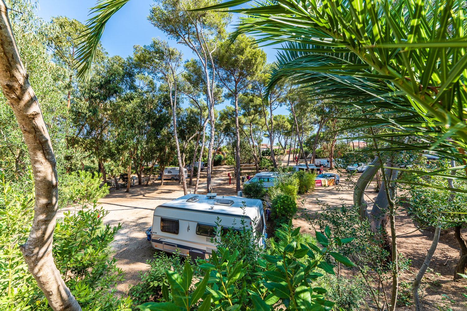 Camping Olbia - Hyères La Madrague - SAS ELC - Camping Olbia