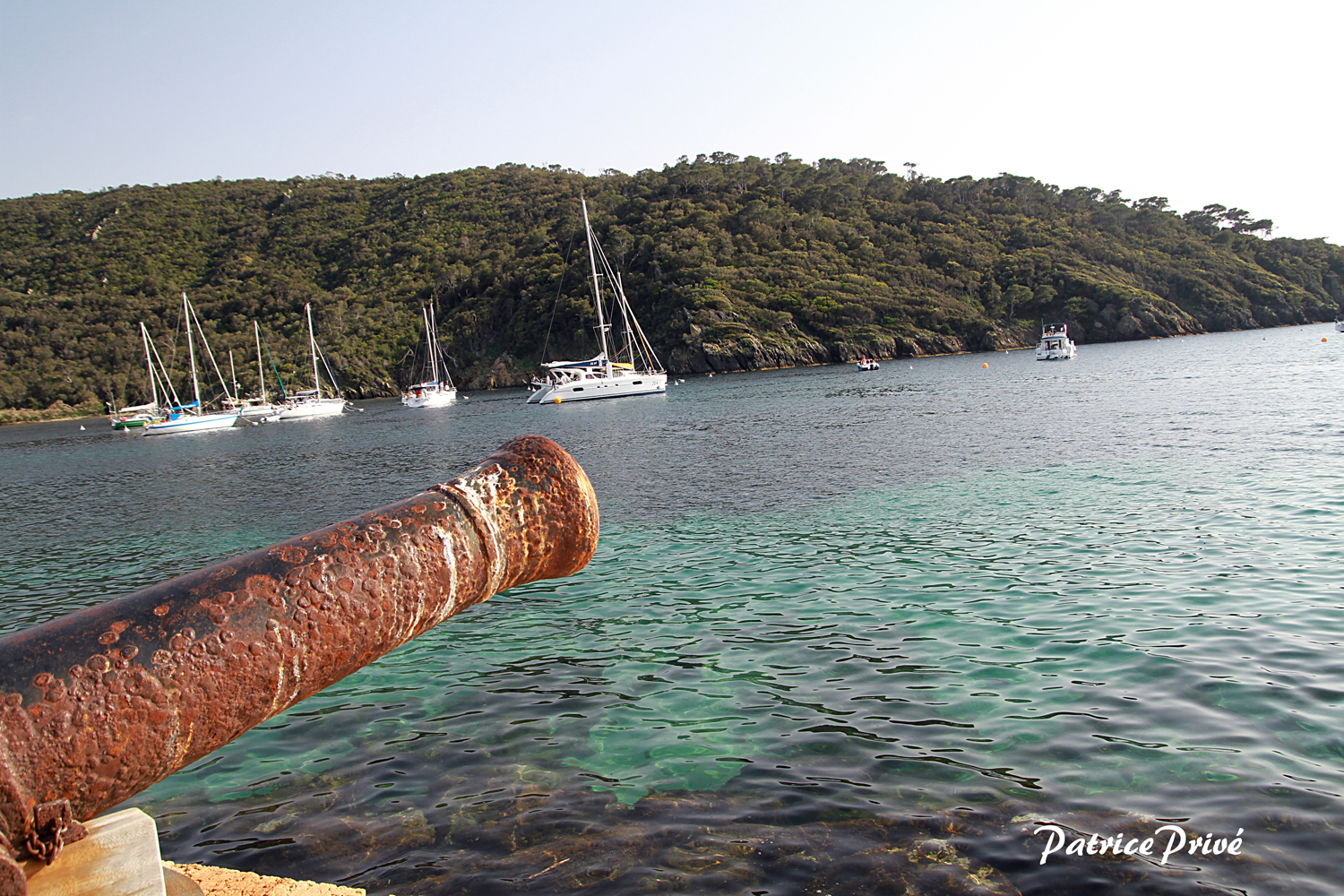 Vue de la maison du port - Maison du Port