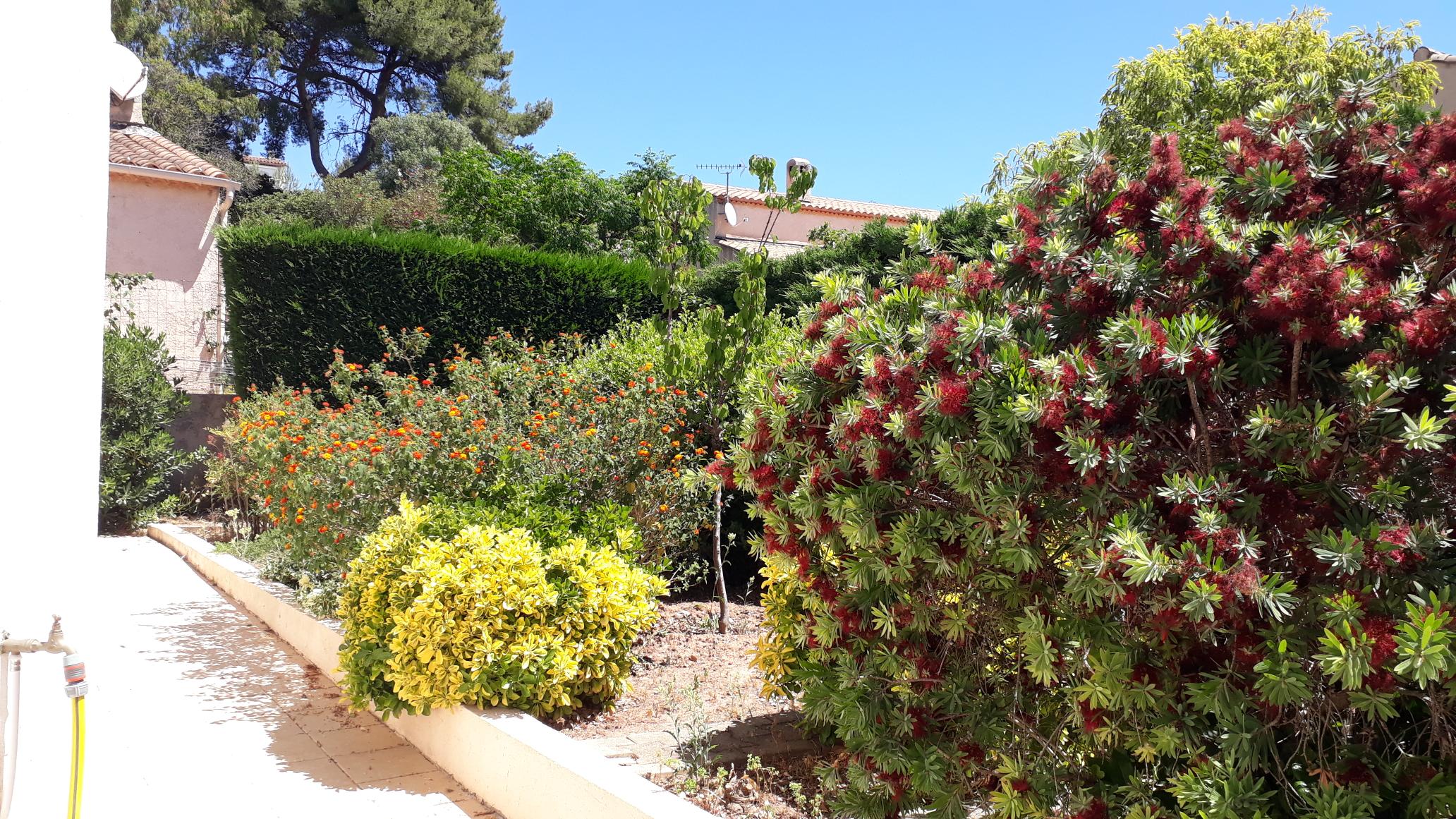 Jardin fleuri et potager - Maya.H