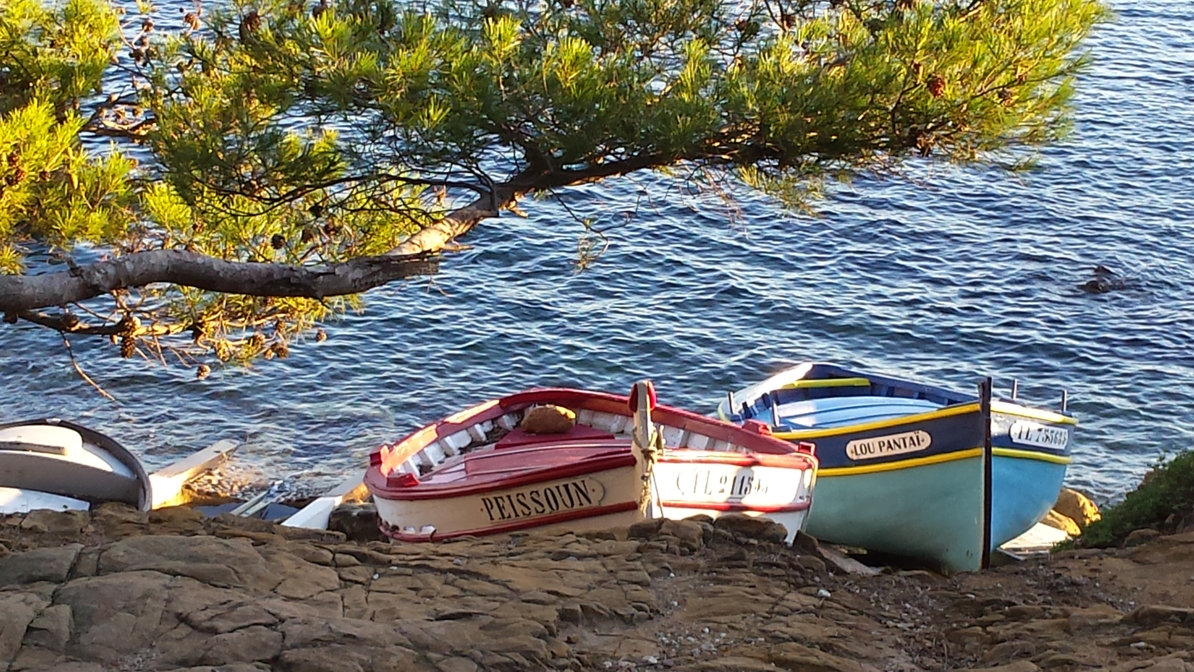 Pointus, plage de la Verne - RG