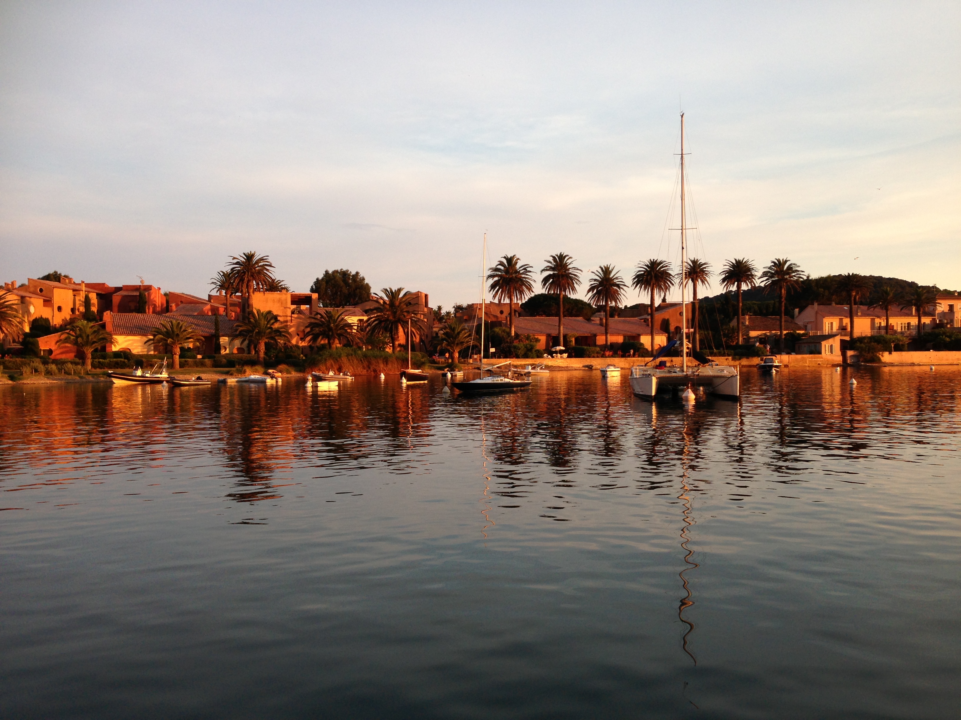 Résidence le prés des palmiers - Vidal