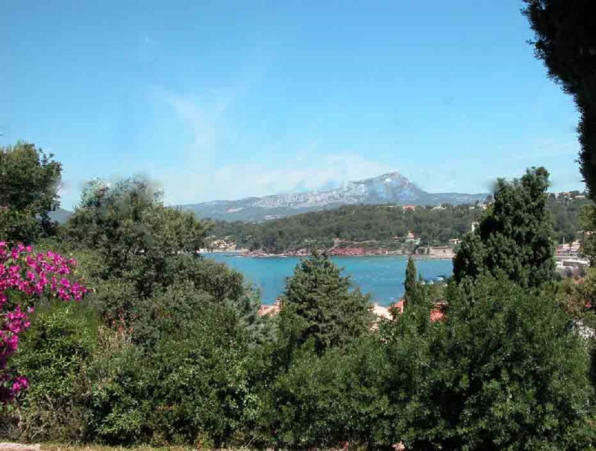 Vue de la terrasse - Roux