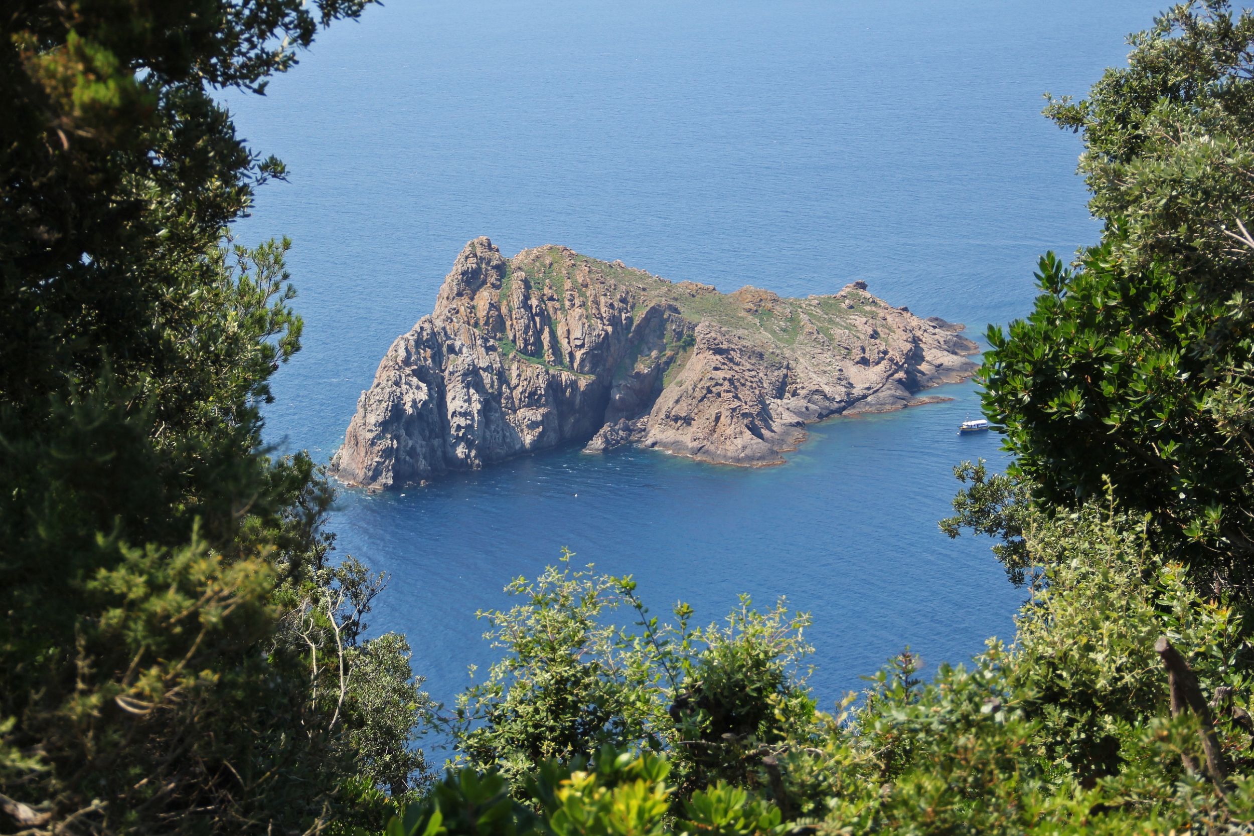 Vue sur l'ilot de la Gabinière - Muriel Gasquy