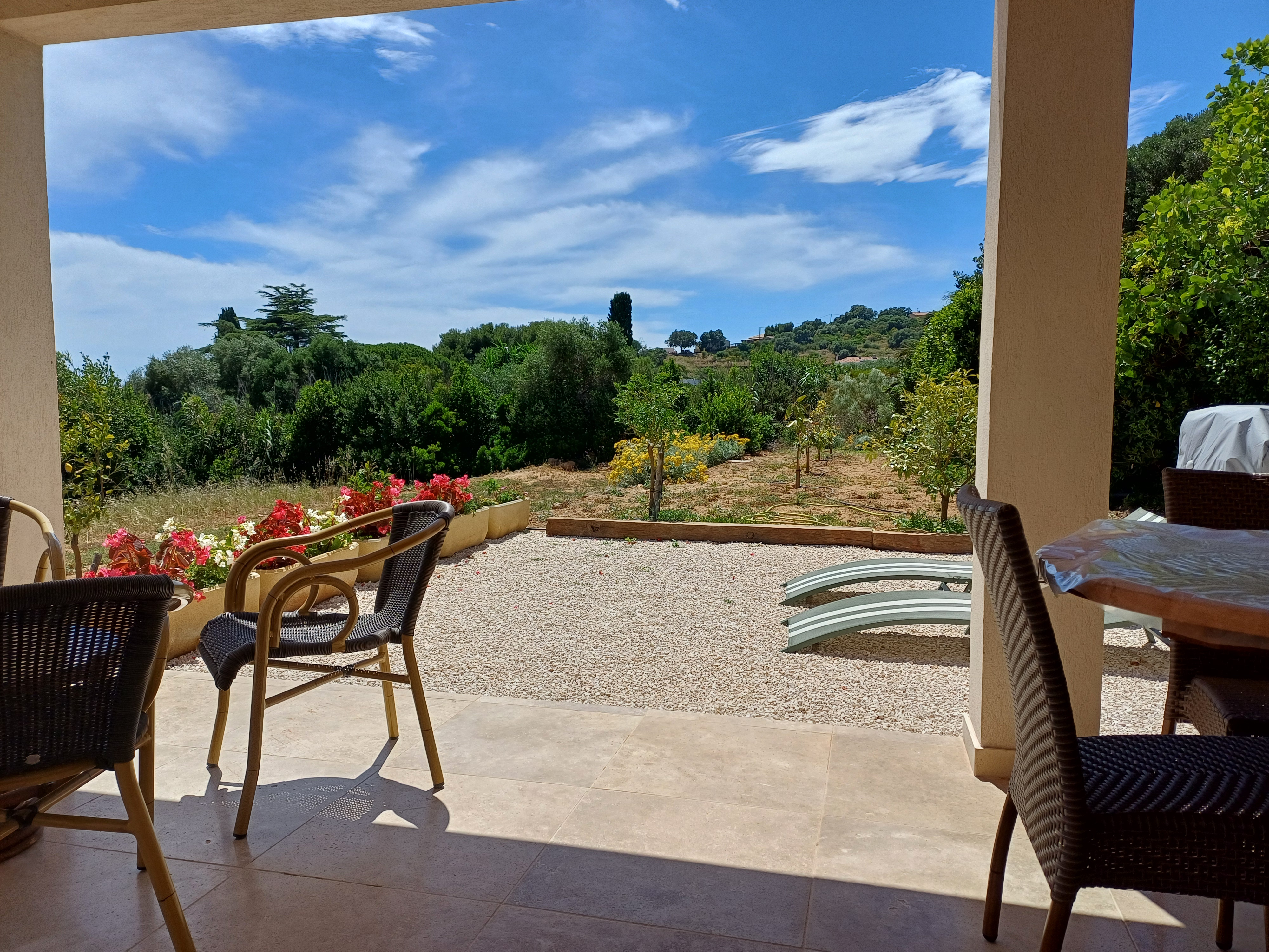 VUE SUR LA CAMPAGNE - ANNE BERTELLI