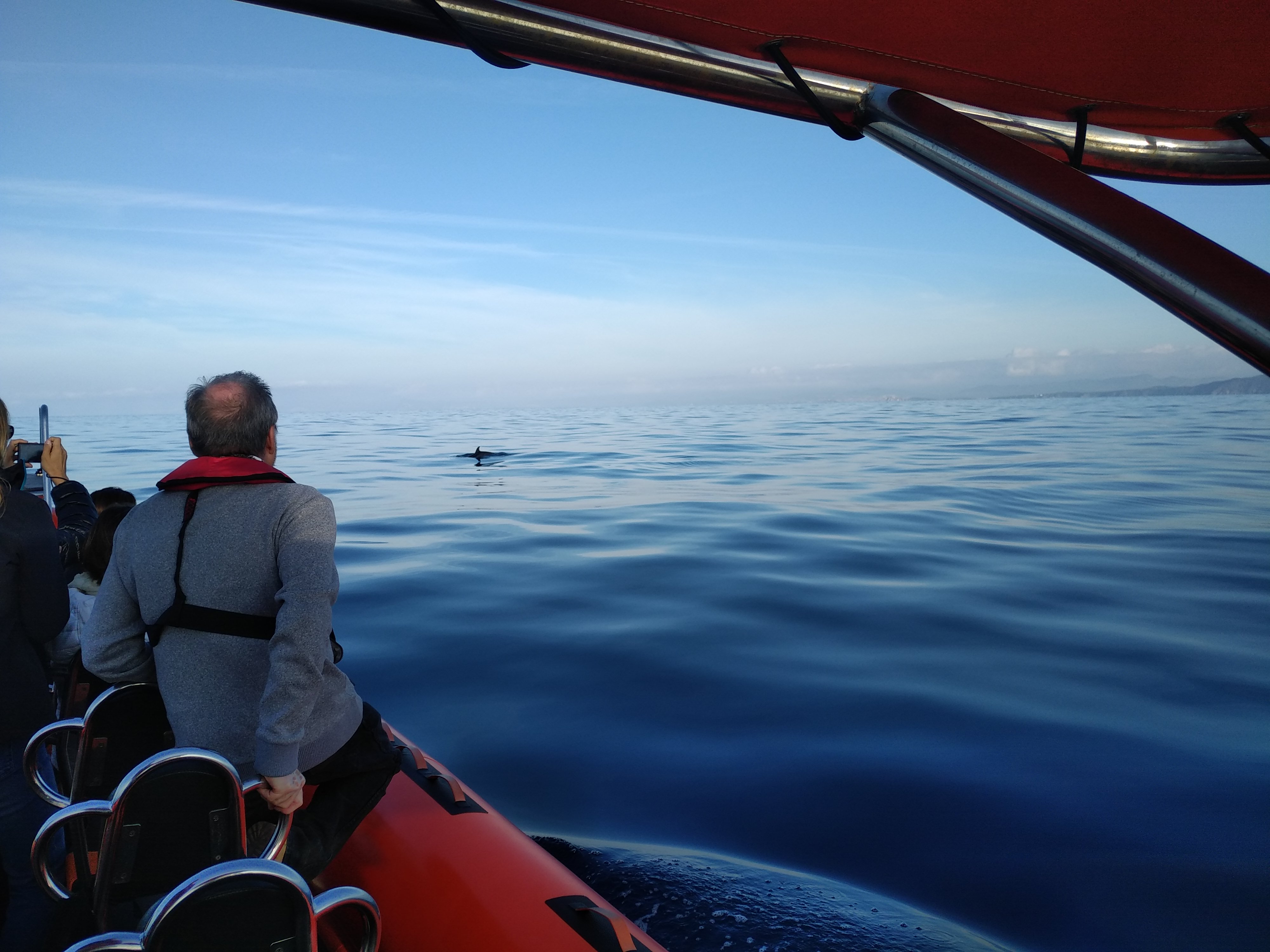 Sea Adventure - SEA ADVENTURE