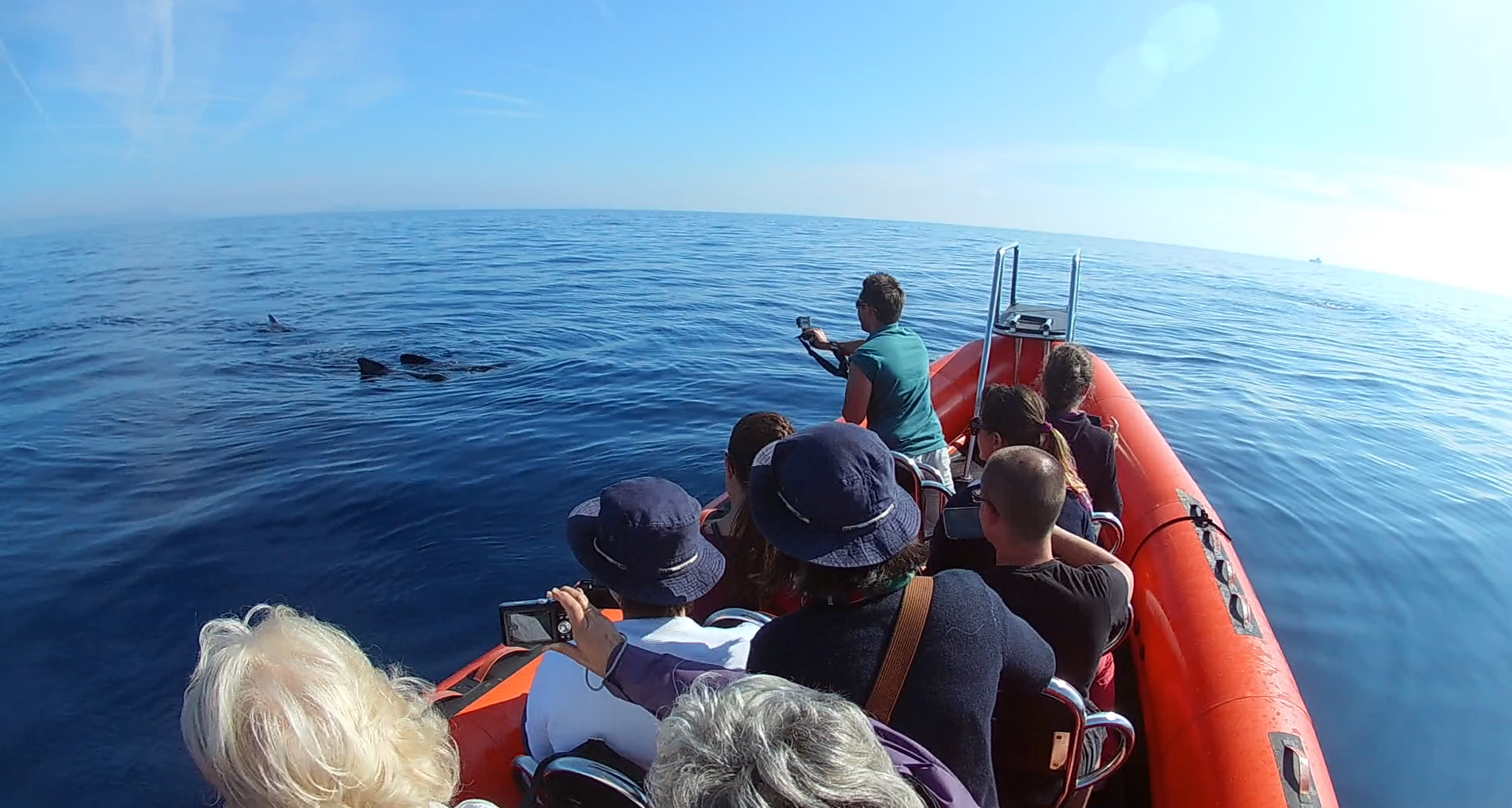 Sea Adventure - SEA ADVENTURE