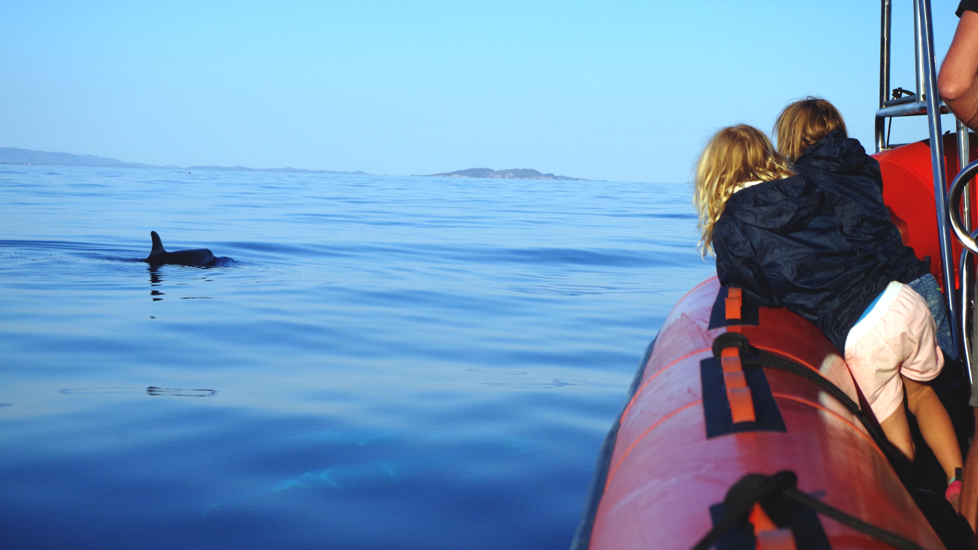 Sea Adventure - SEA ADVENTURE