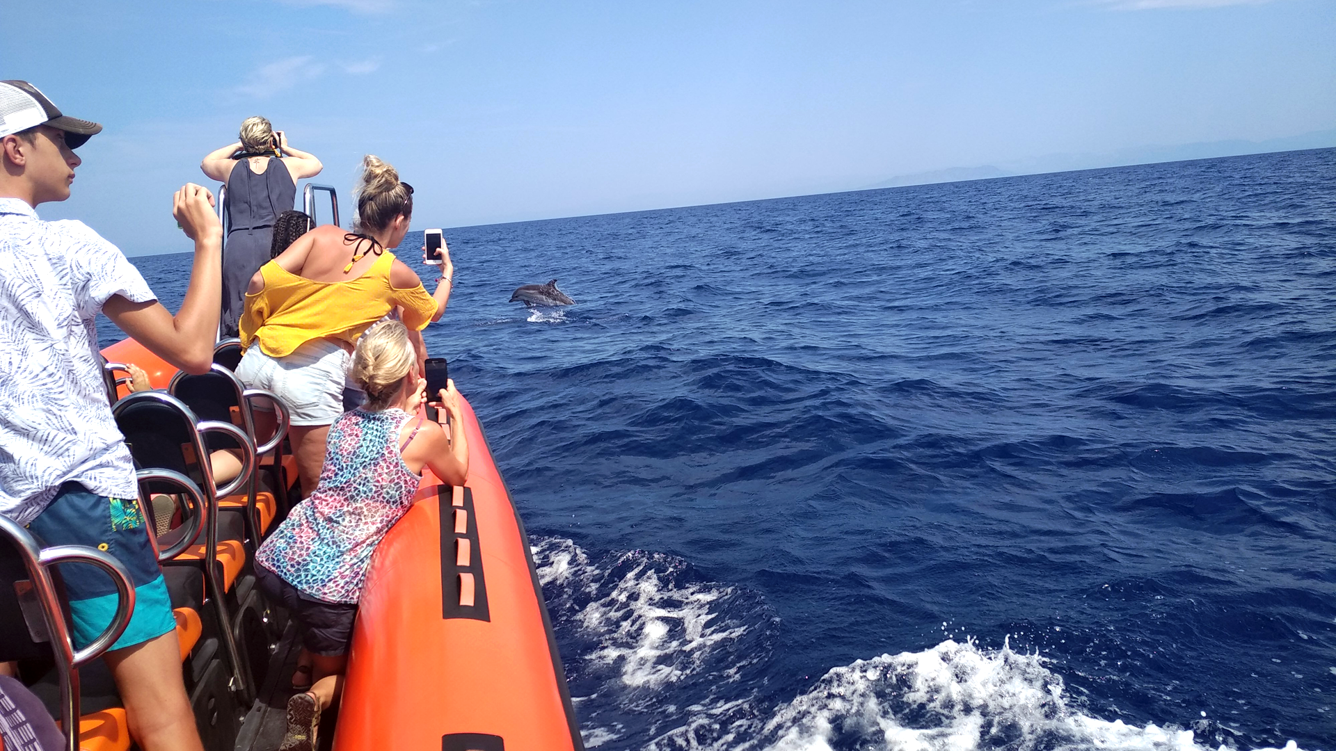 Sea Adventure - SEA ADVENTURE