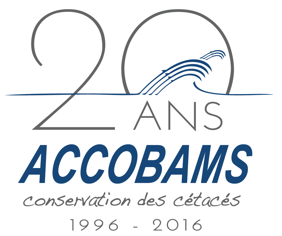 Sea Adventure - ACCOBAMS