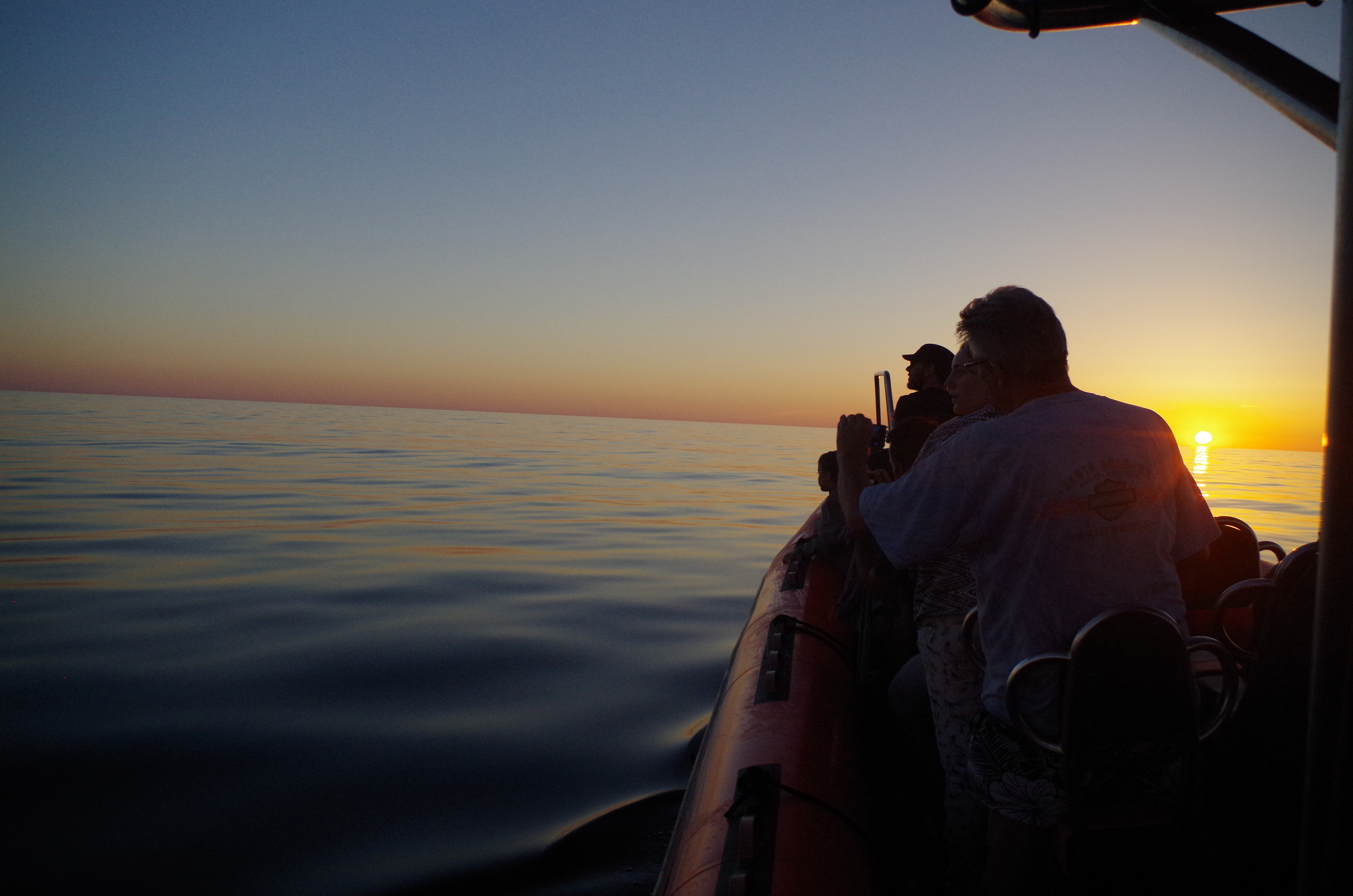 Sea Adventure - SEA ADVENTURE