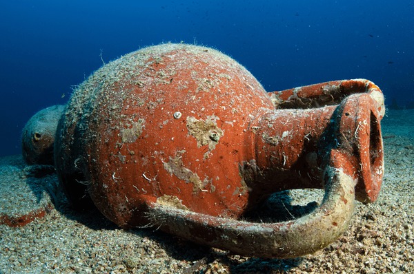 Bruscain paddle - Bruscain paddle