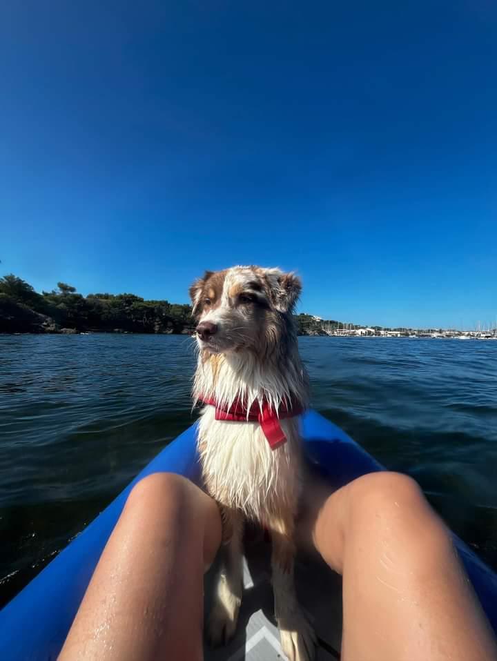 Bruscain paddle - Bruscain paddle